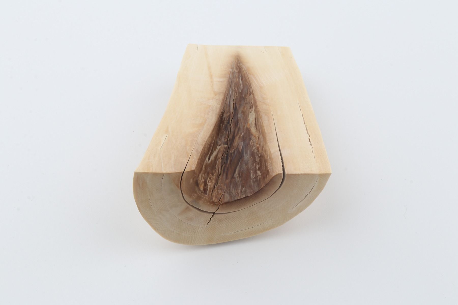 Natural mammoth ivory piece
