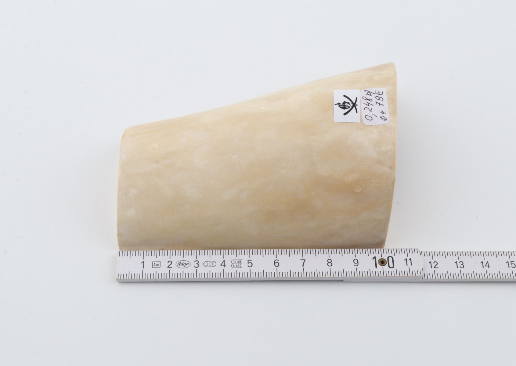Natural mammoth ivory piece