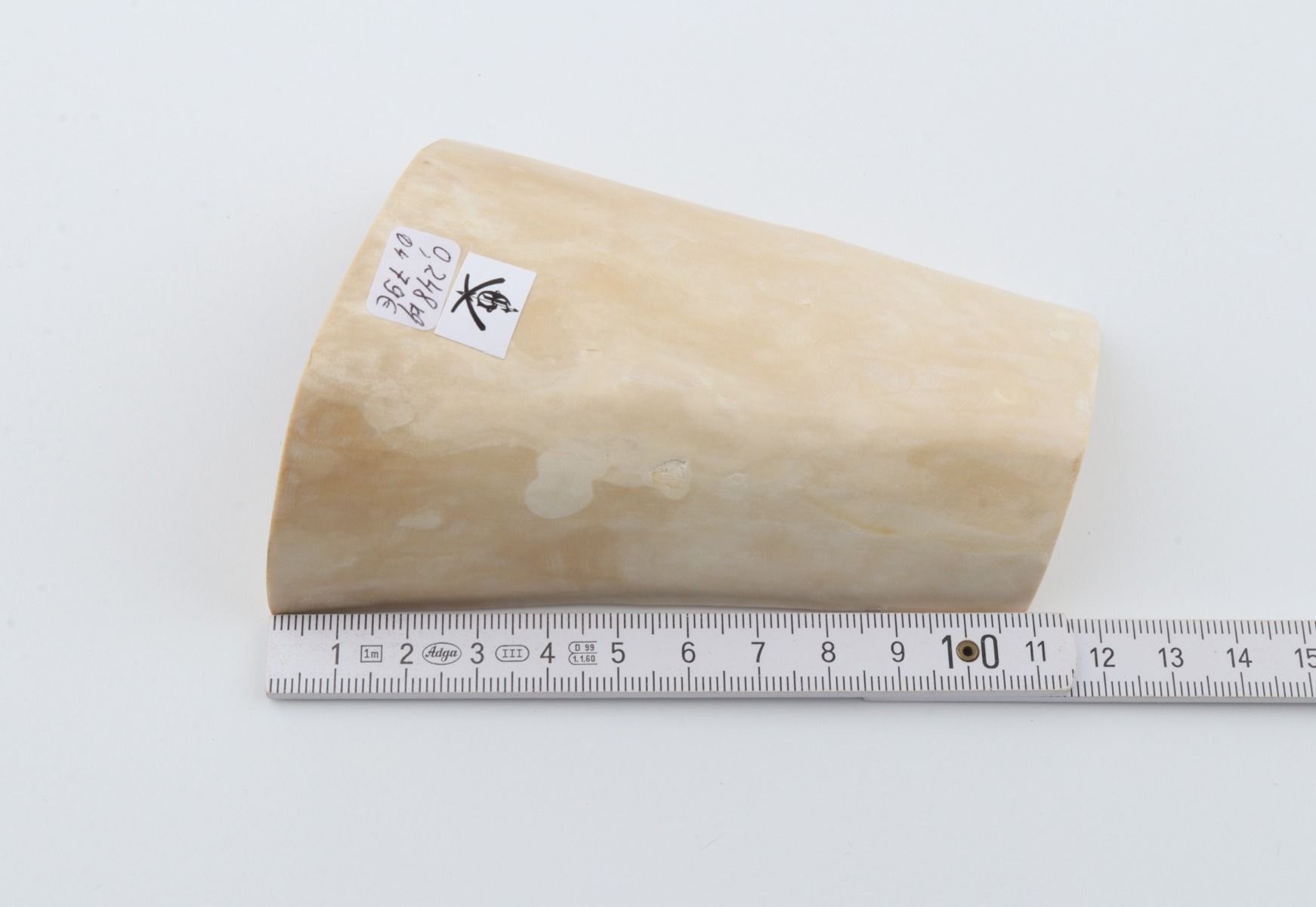 Natural mammoth ivory piece