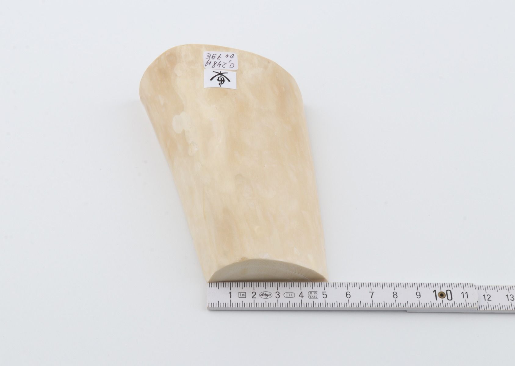 Natural mammoth ivory piece