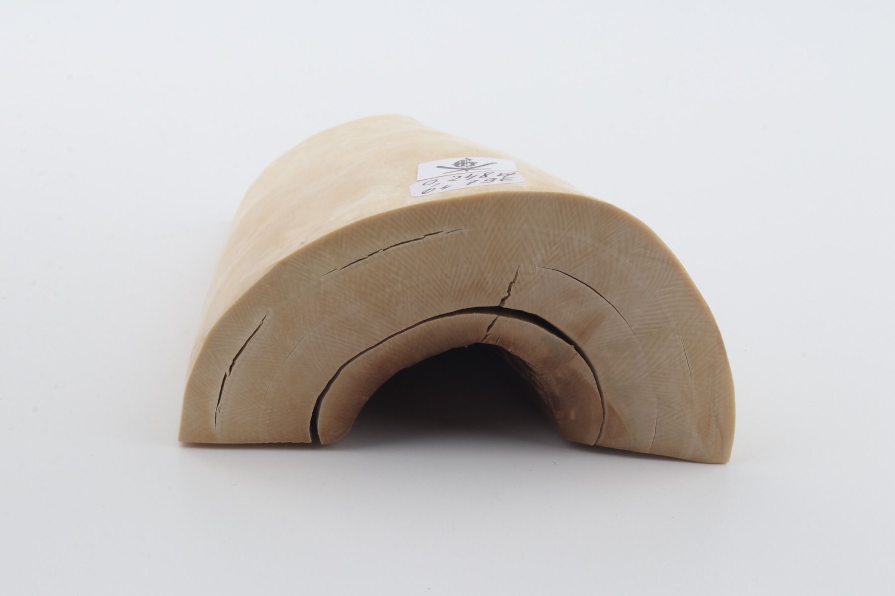 Natural mammoth ivory piece