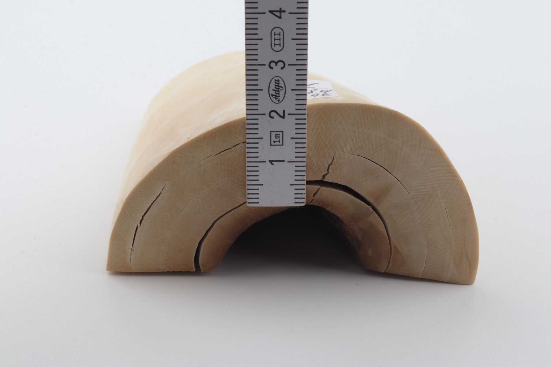 Natural mammoth ivory piece