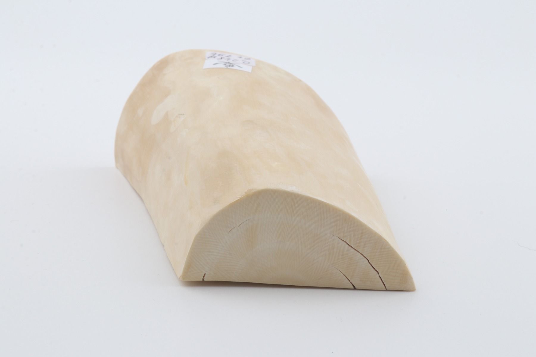 Natural mammoth ivory piece
