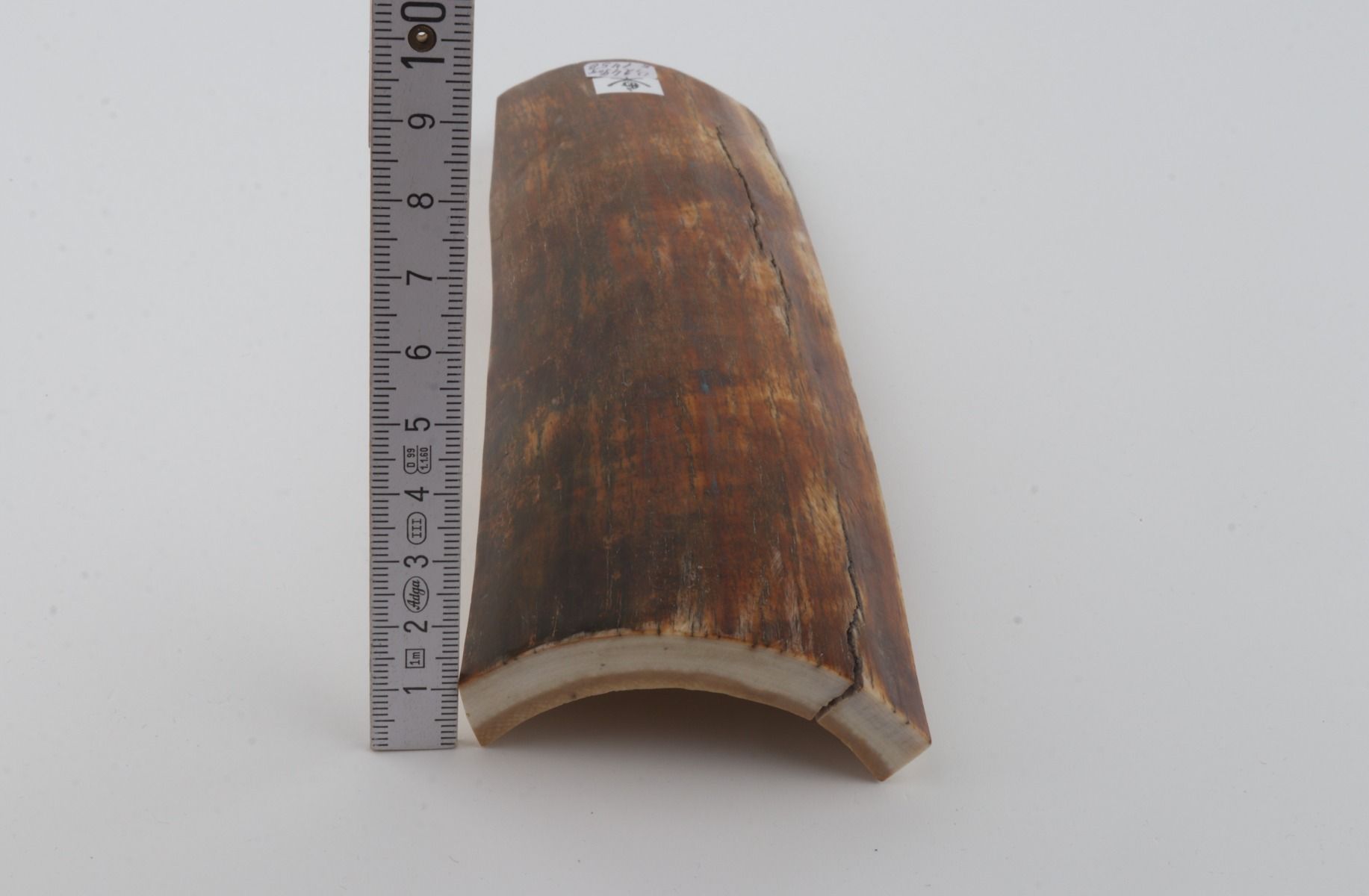 Natural mammoth bark