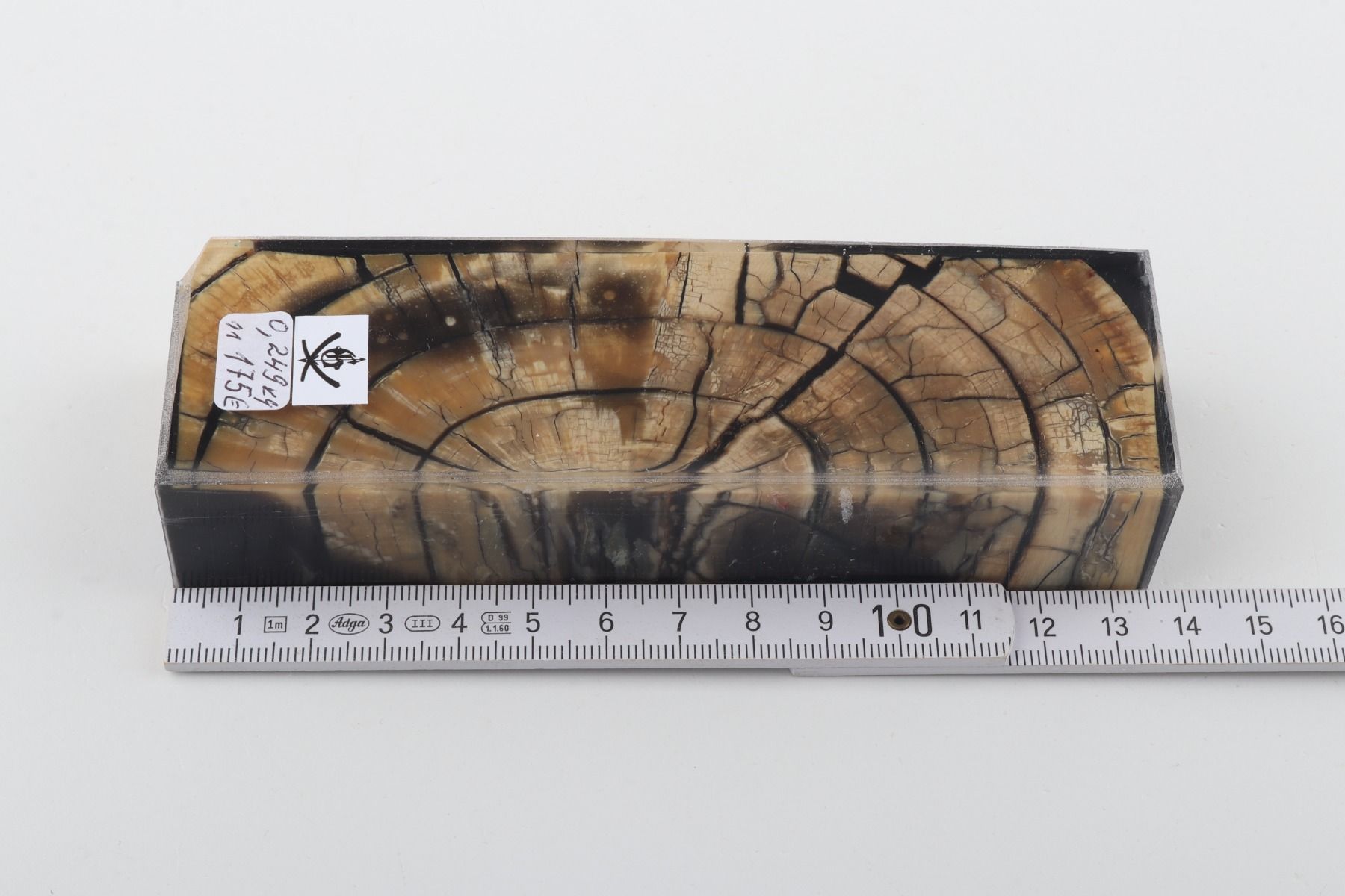 Stabilized mammoth ivory block