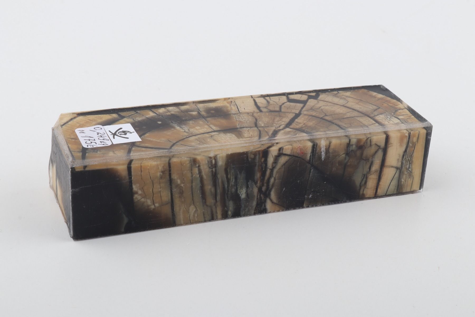 Stabilized mammoth ivory block
