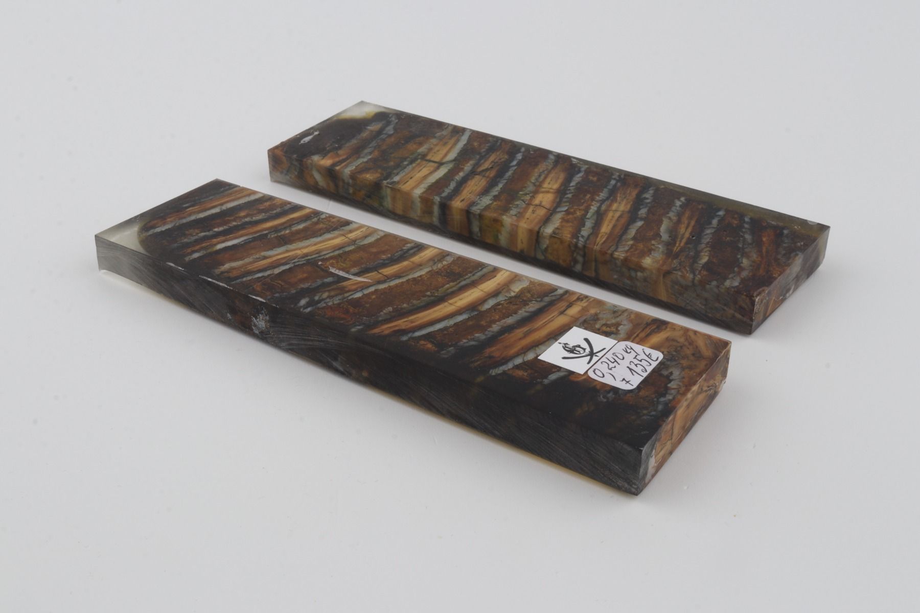Stabilized mammoth molar scales