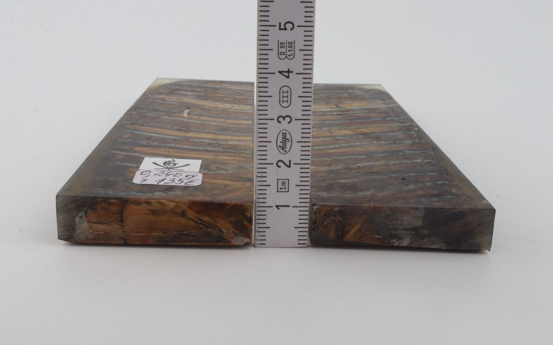 Stabilized mammoth molar scales