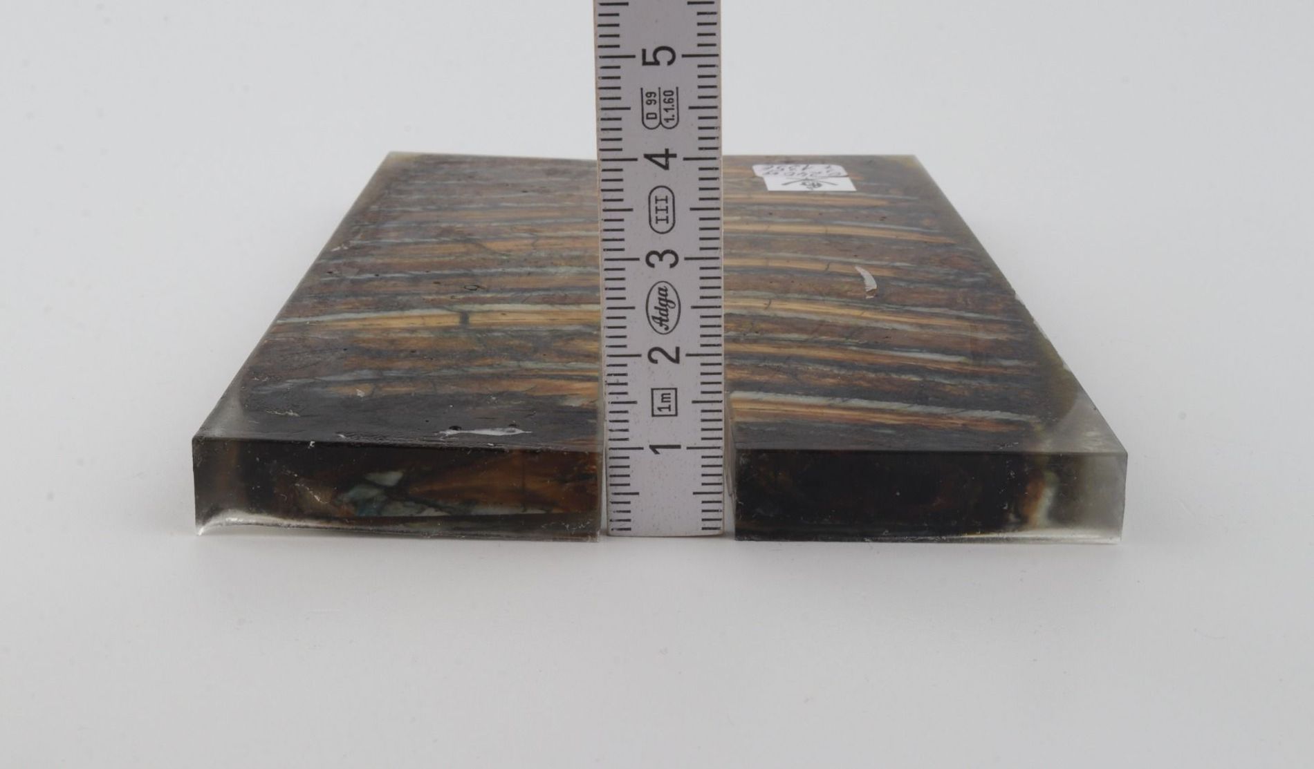 Stabilized mammoth molar scales