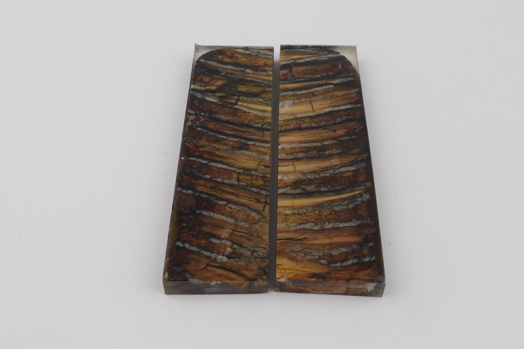 Stabilized mammoth molar scales
