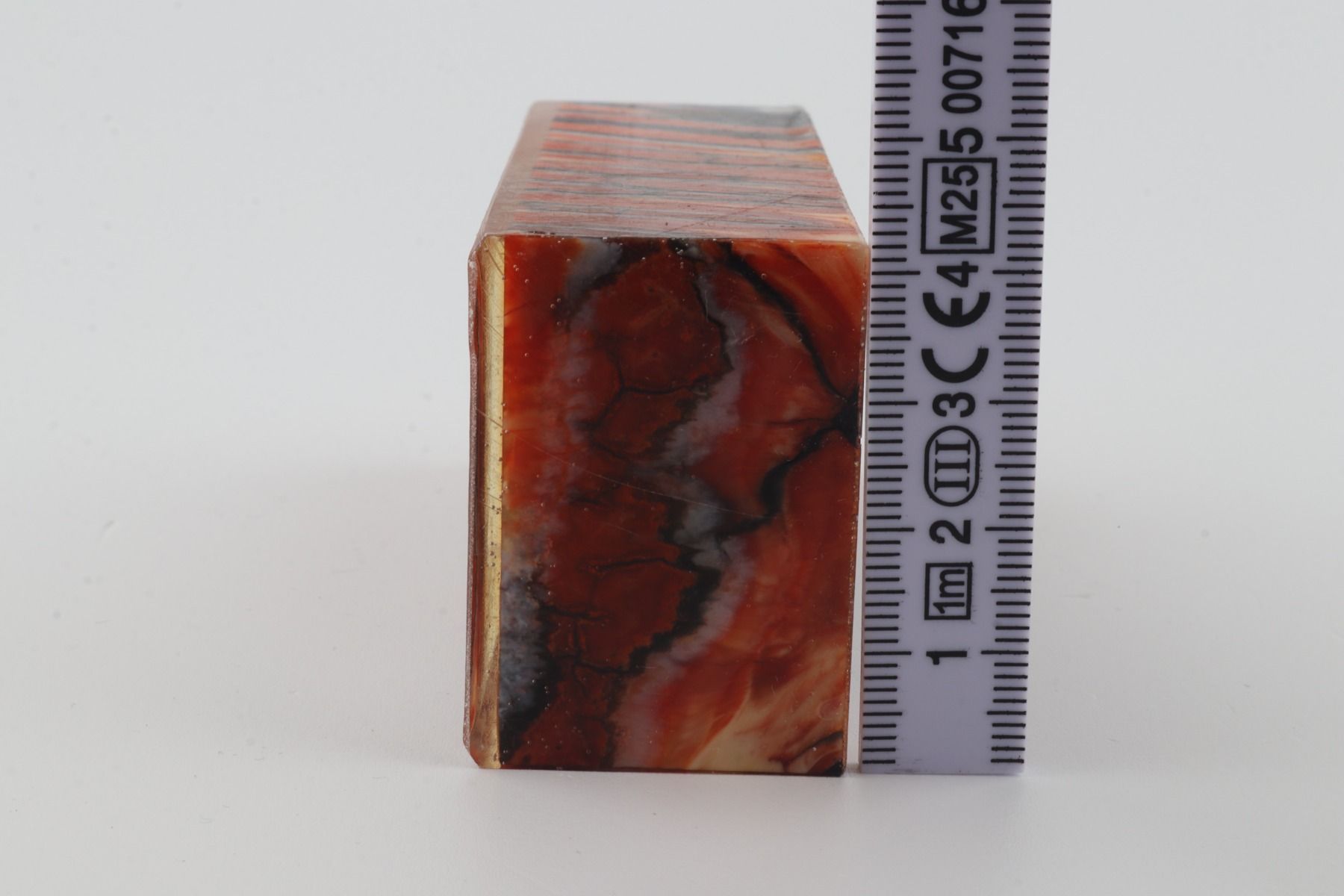 Stabilized mammoth molar block