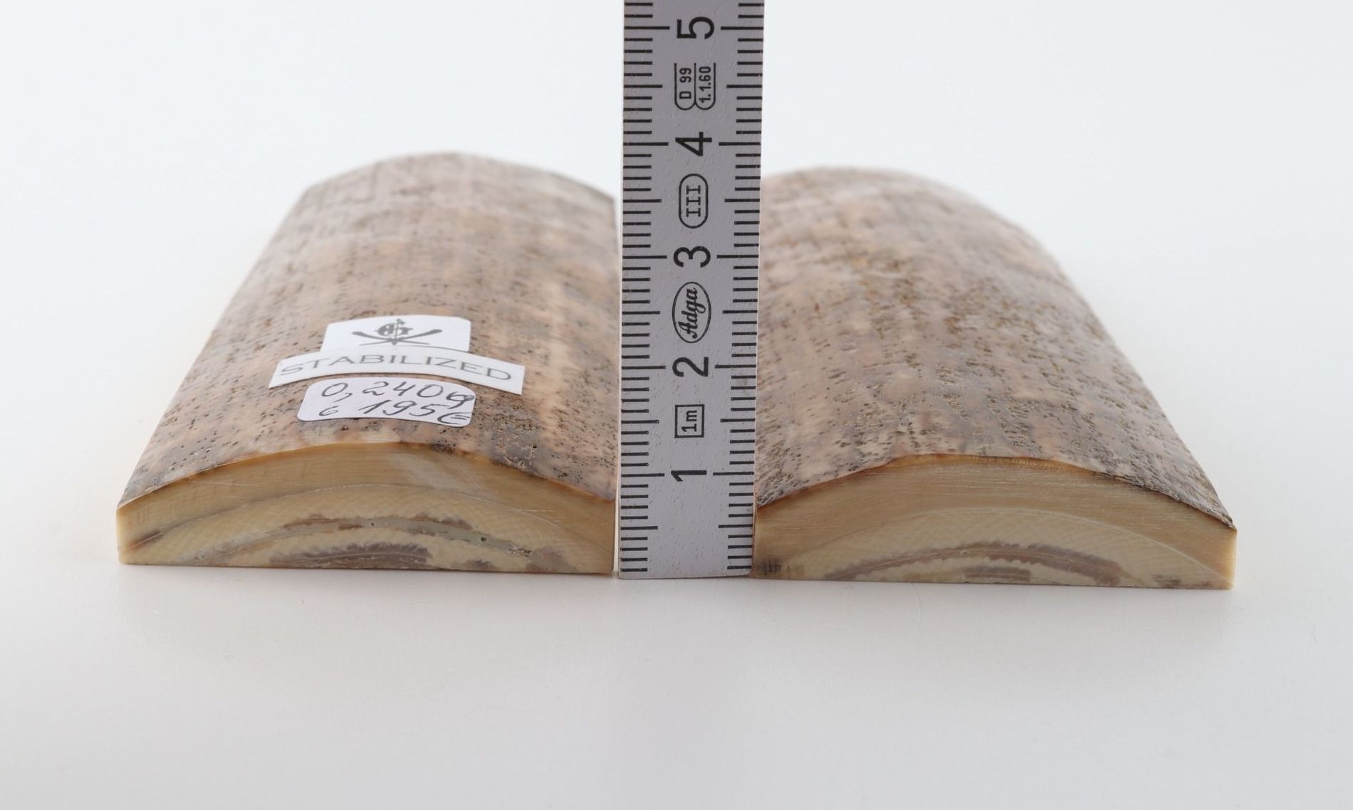 Stabilised mammoth bark scales