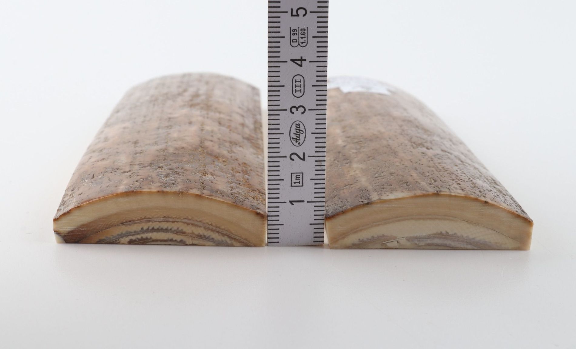 Stabilised mammoth bark scales