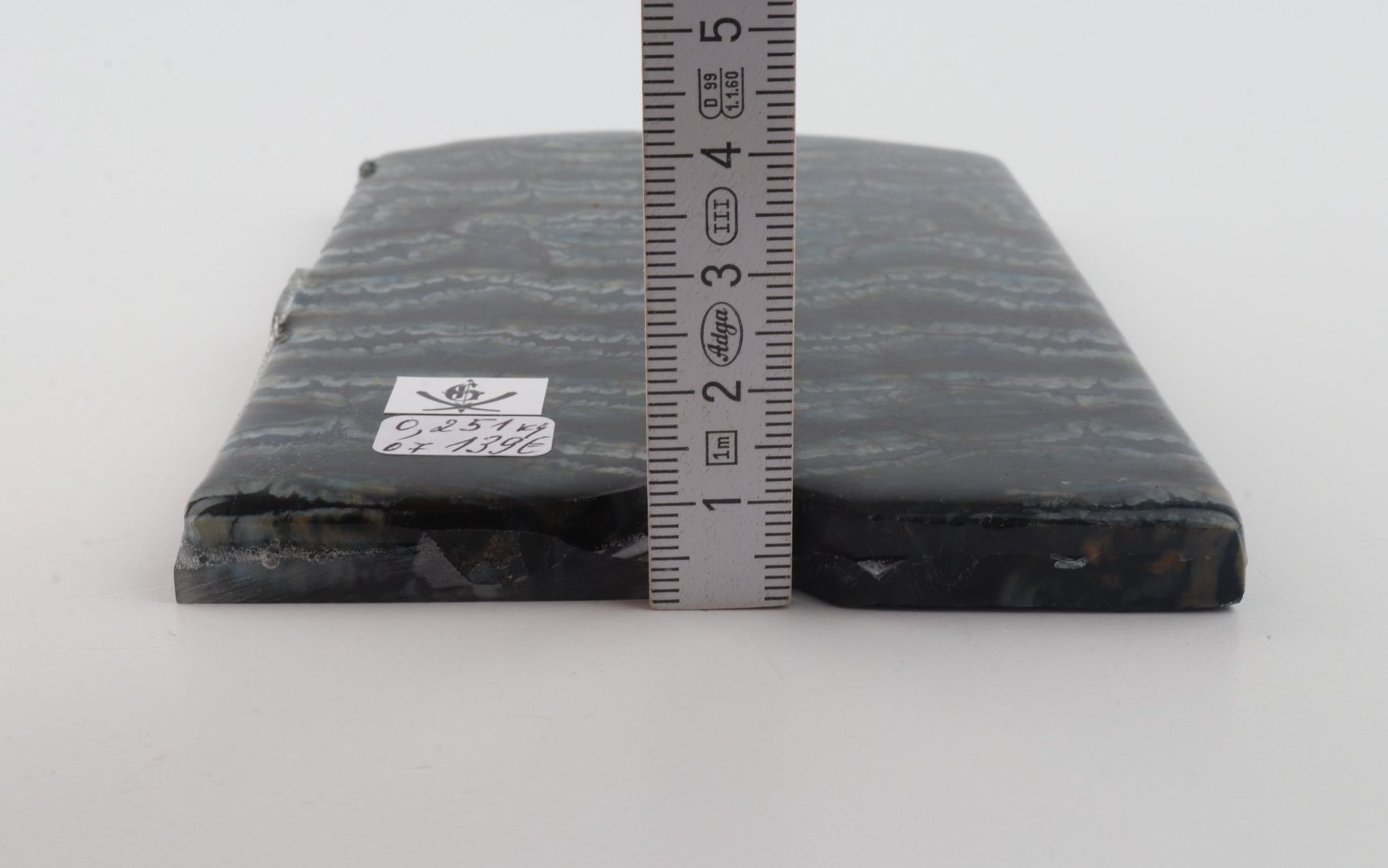 Stabilized mammoth molar scales