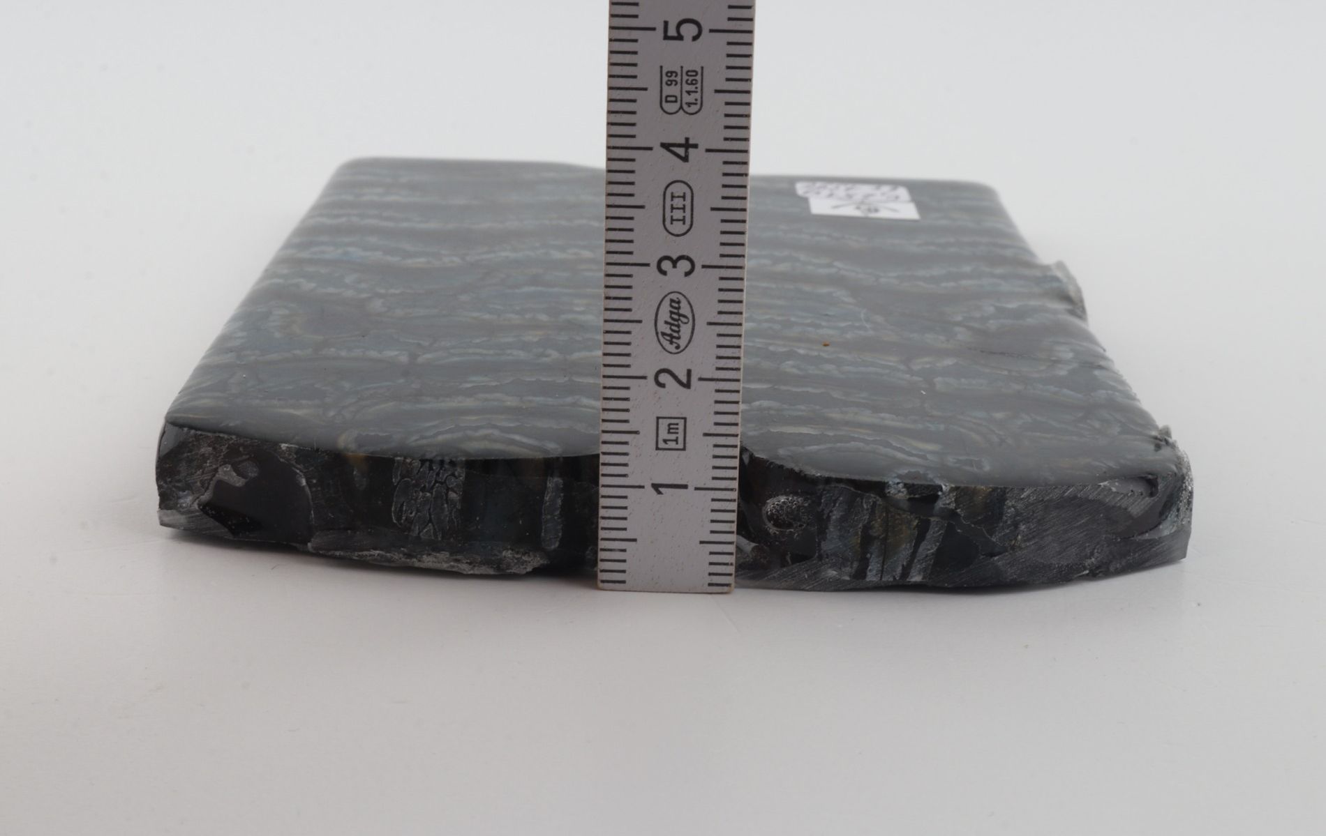 Stabilized mammoth molar scales