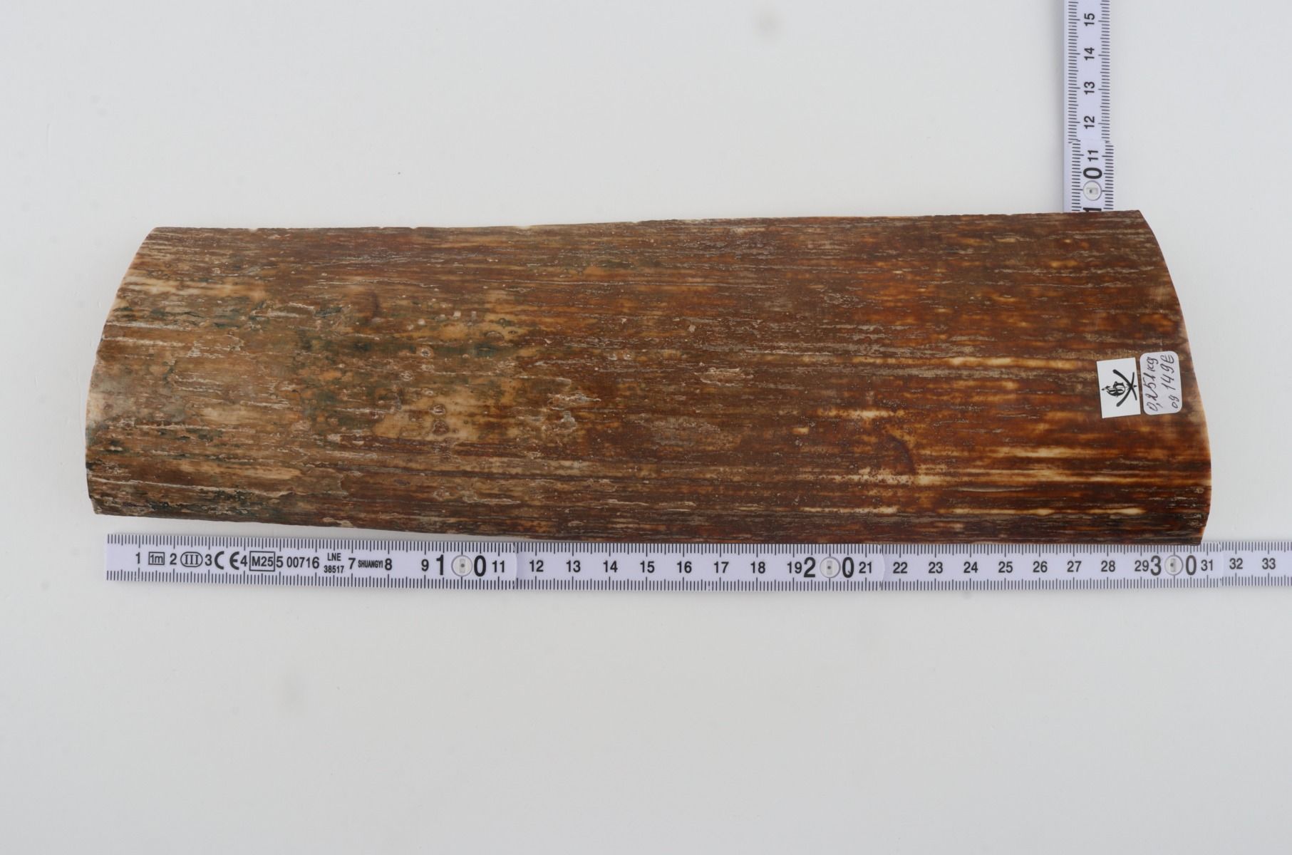 Brown-orange mammoth bark