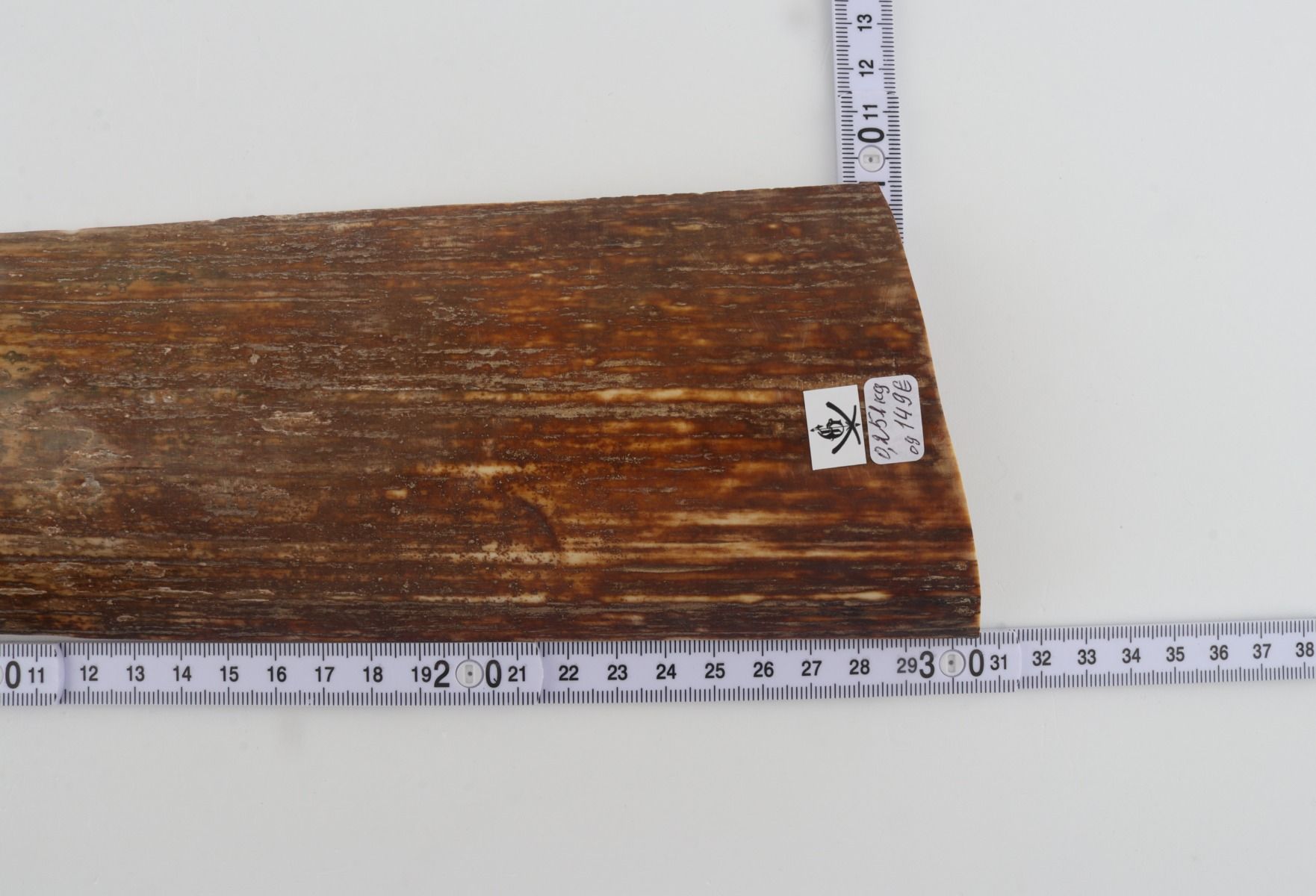 Brown-orange mammoth bark