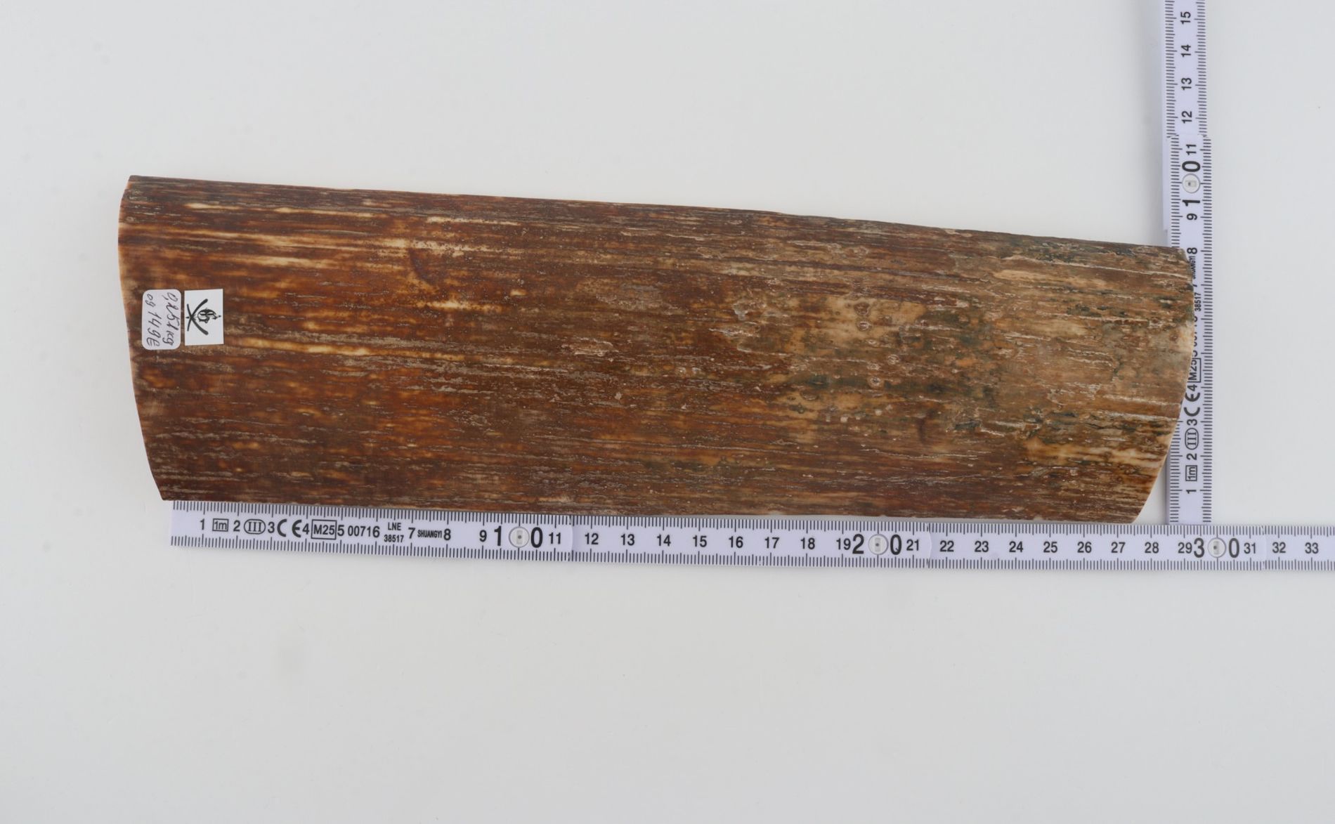 Brown-orange mammoth bark