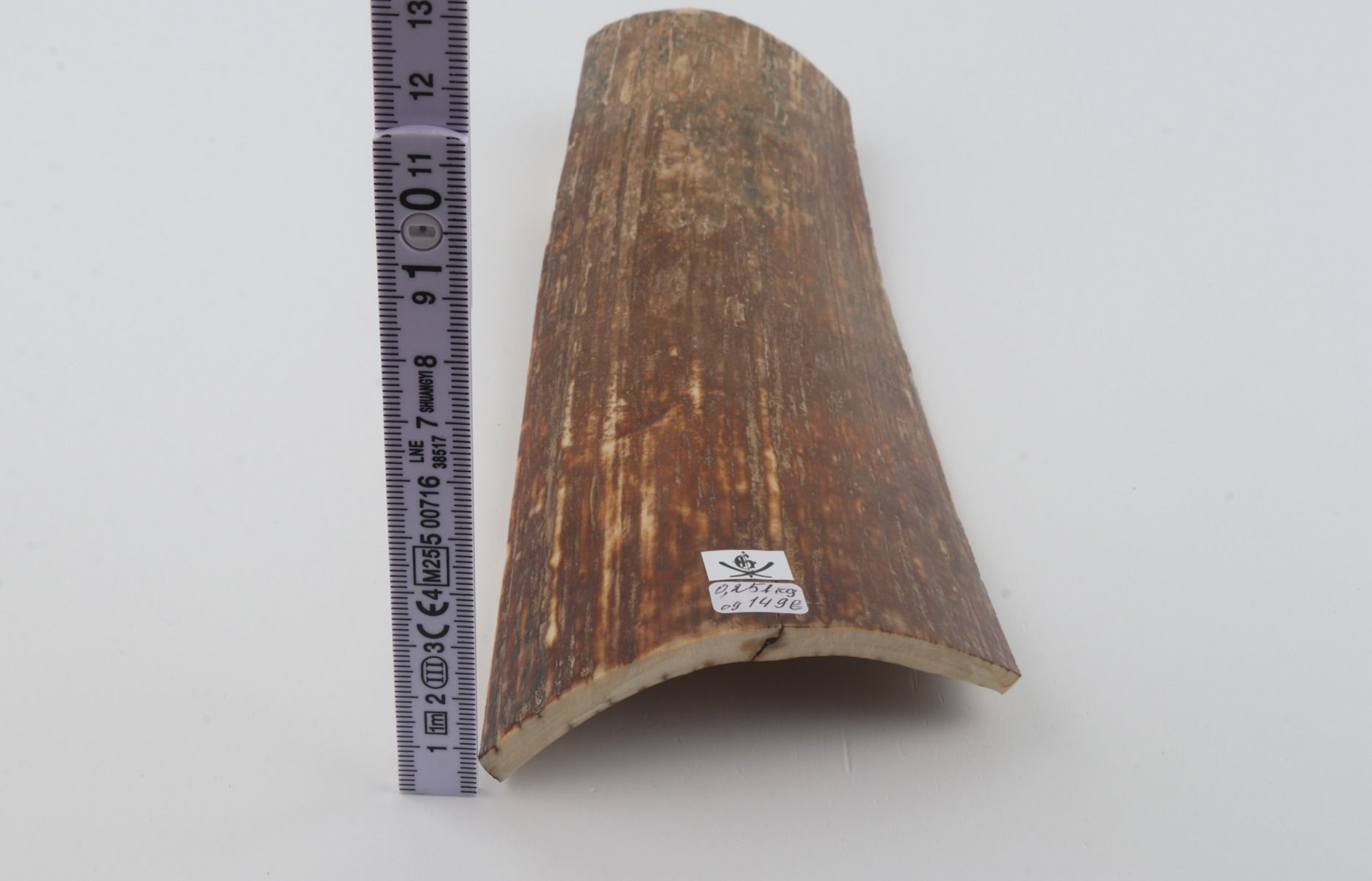Brown-orange mammoth bark