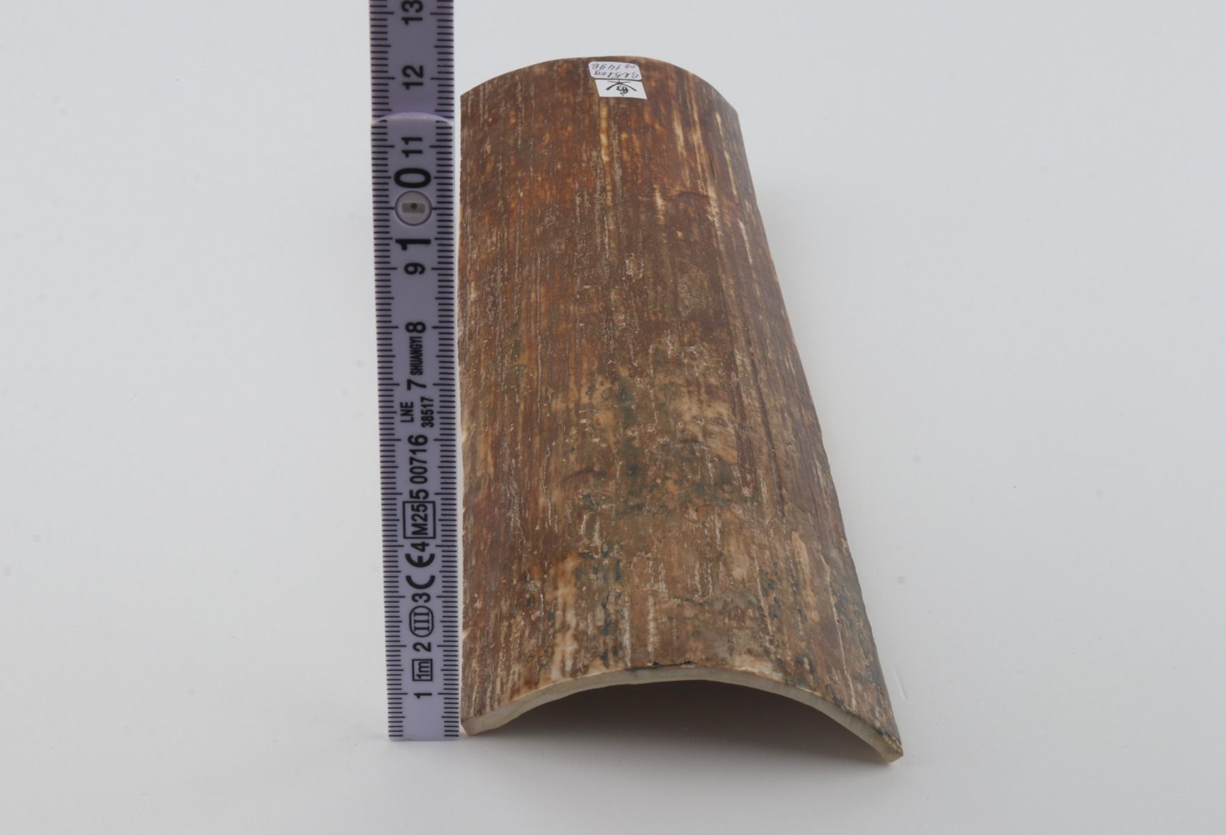 Brown-orange mammoth bark