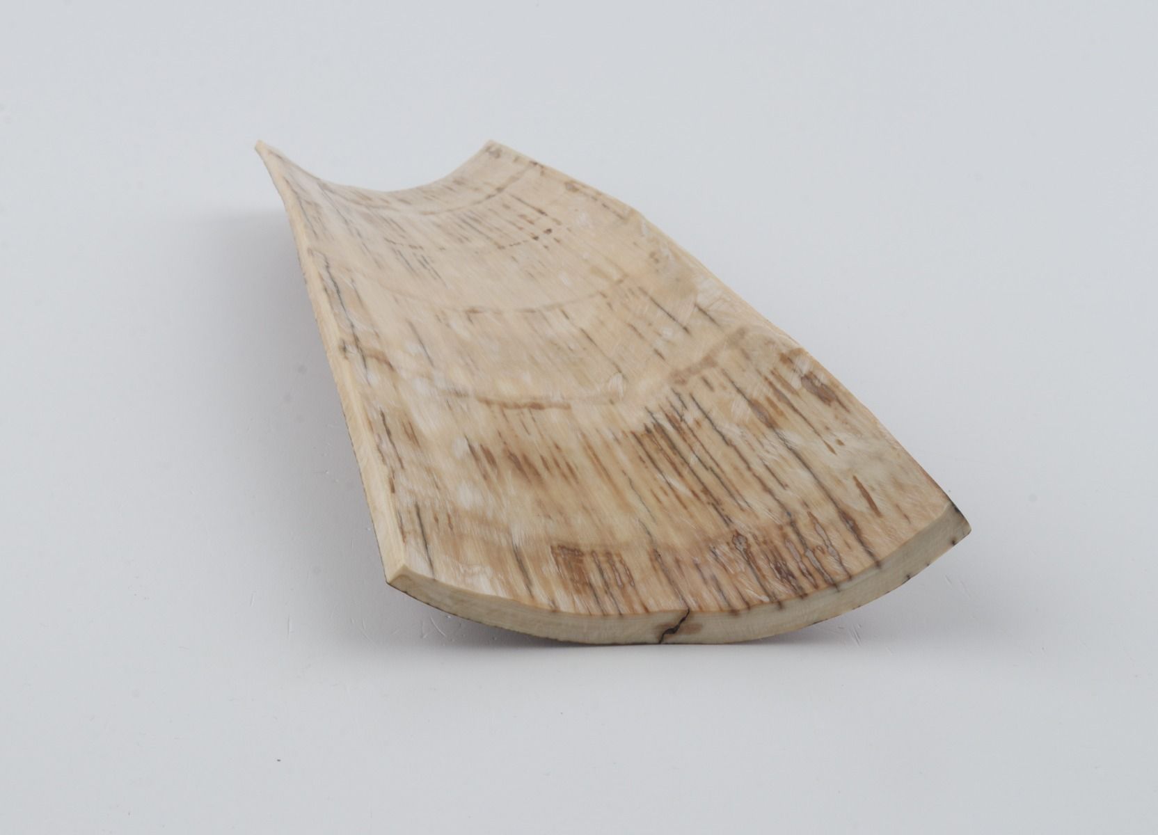 Brown-orange mammoth bark