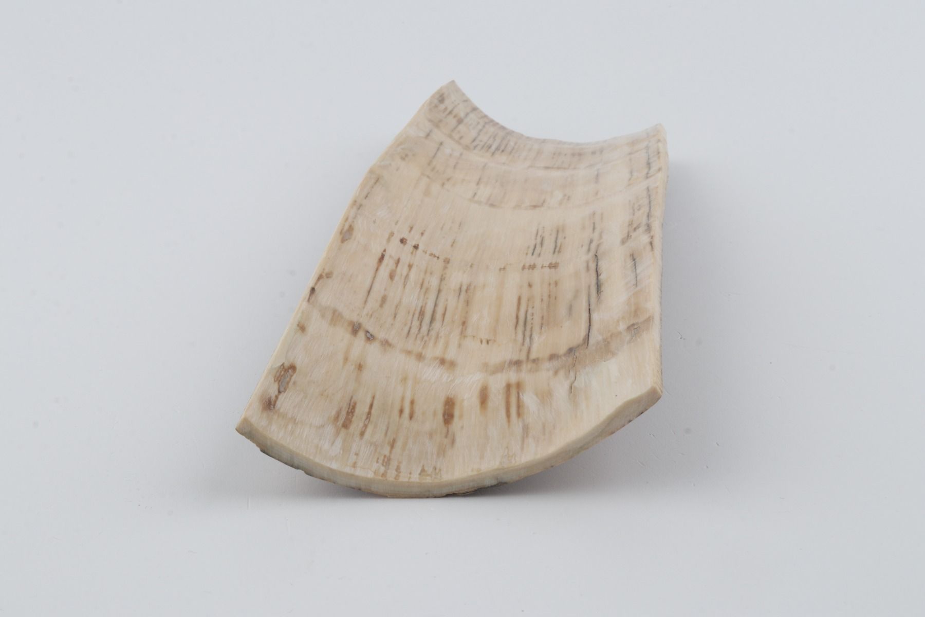 Brown-orange mammoth bark