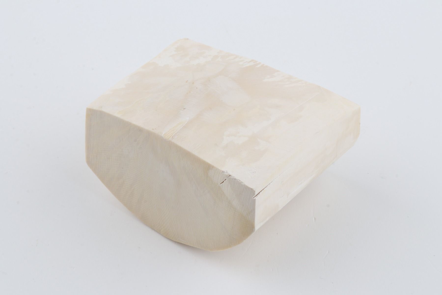 White mammoth ivory segment