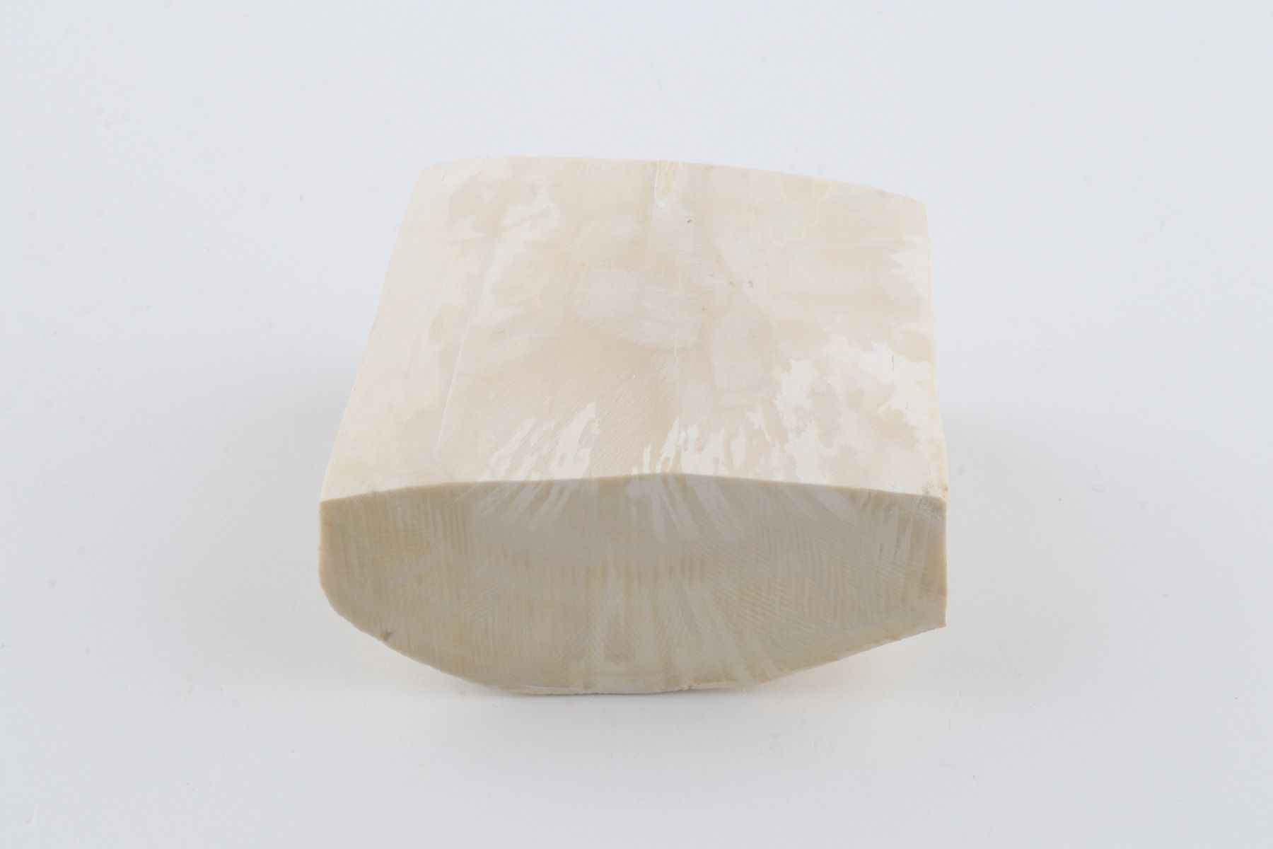 White mammoth ivory segment