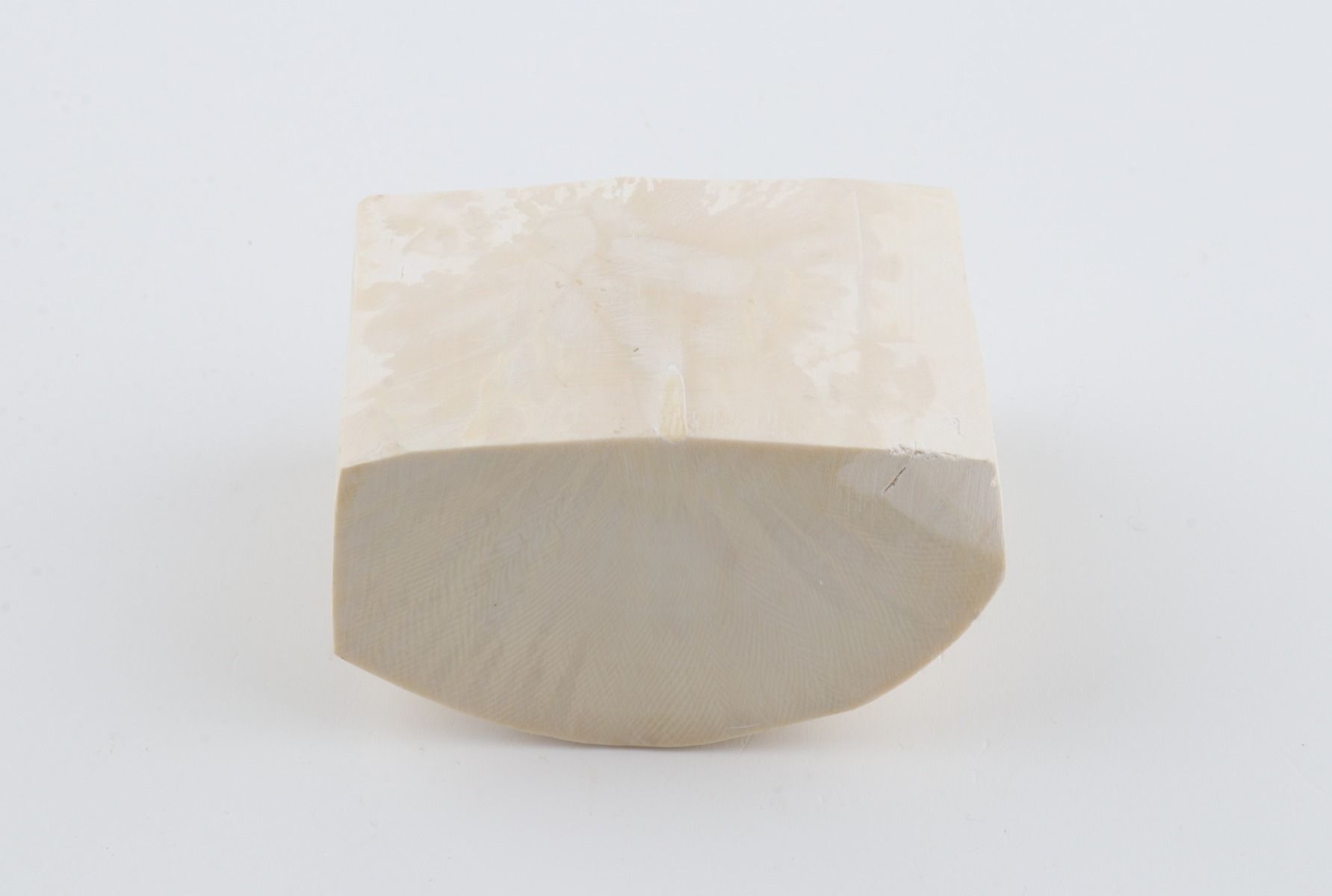 White mammoth ivory segment