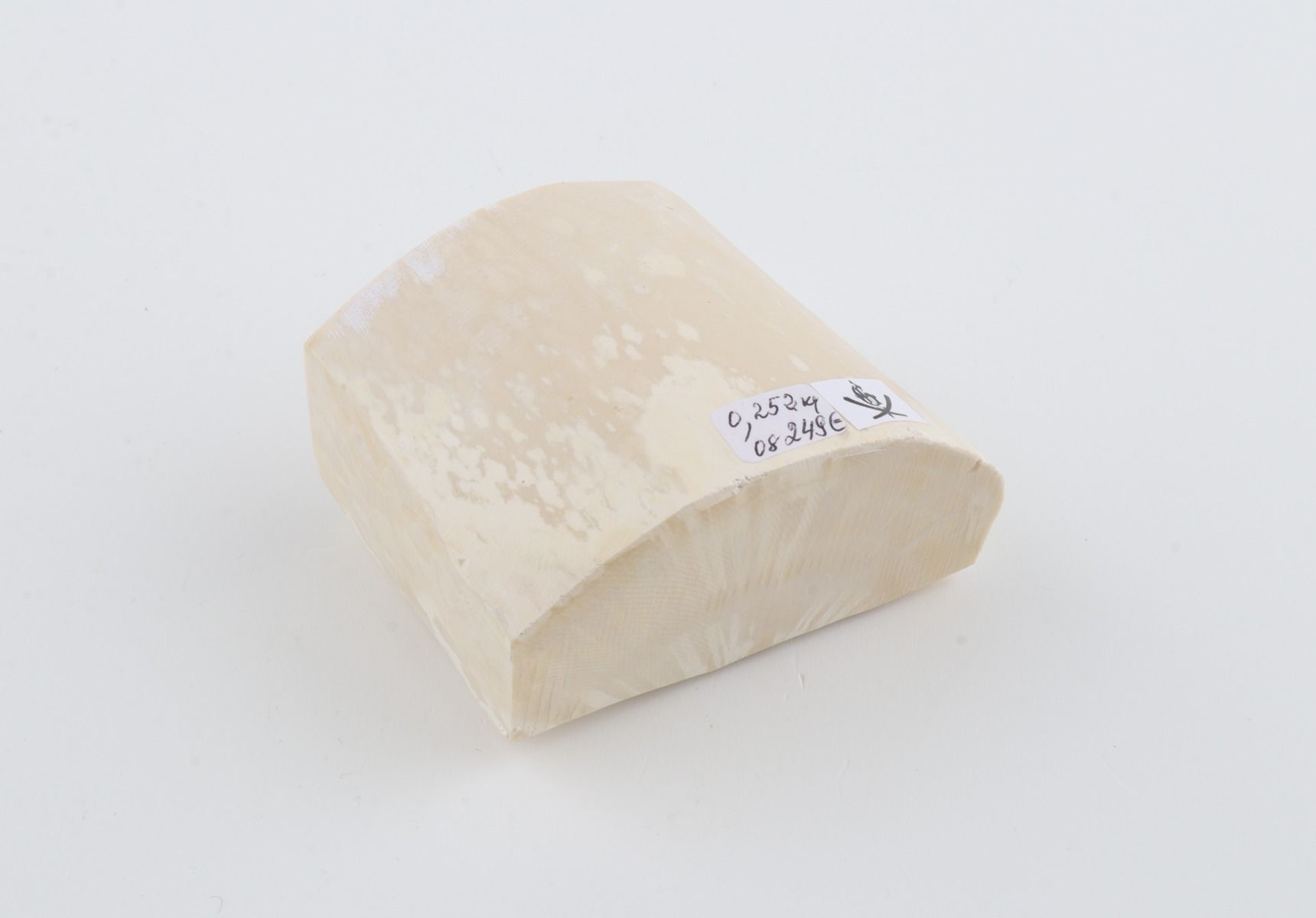 White mammoth ivory segment