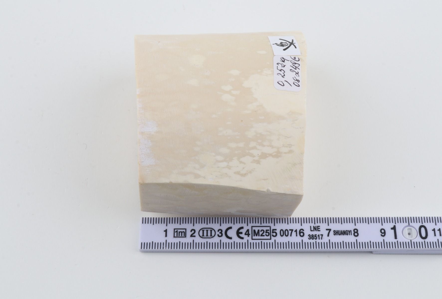 White mammoth ivory segment