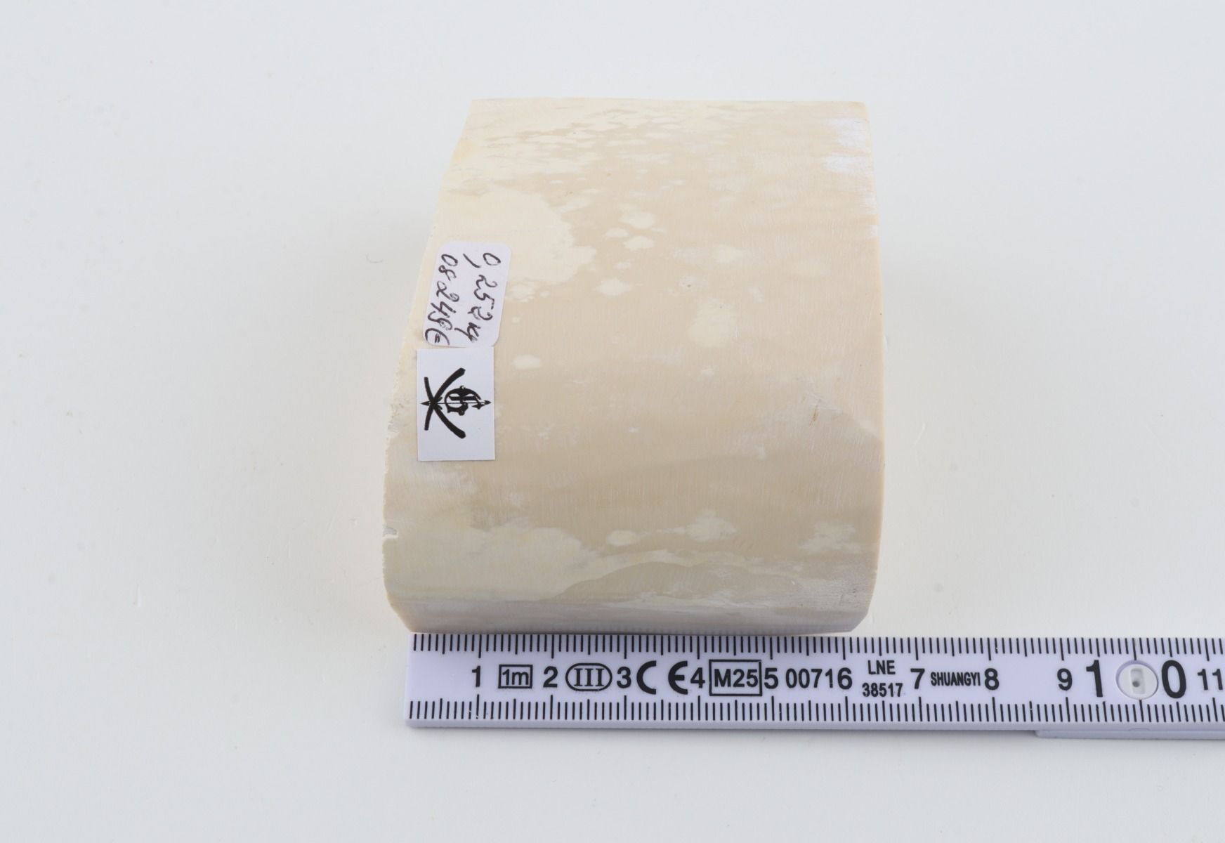 White mammoth ivory segment