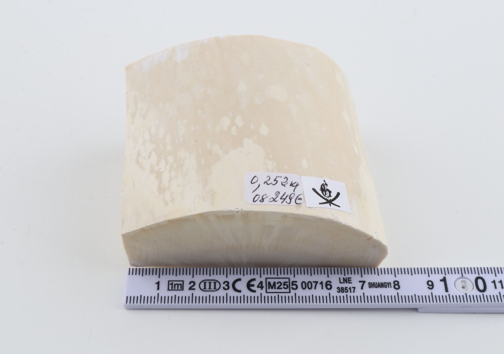 White mammoth ivory segment