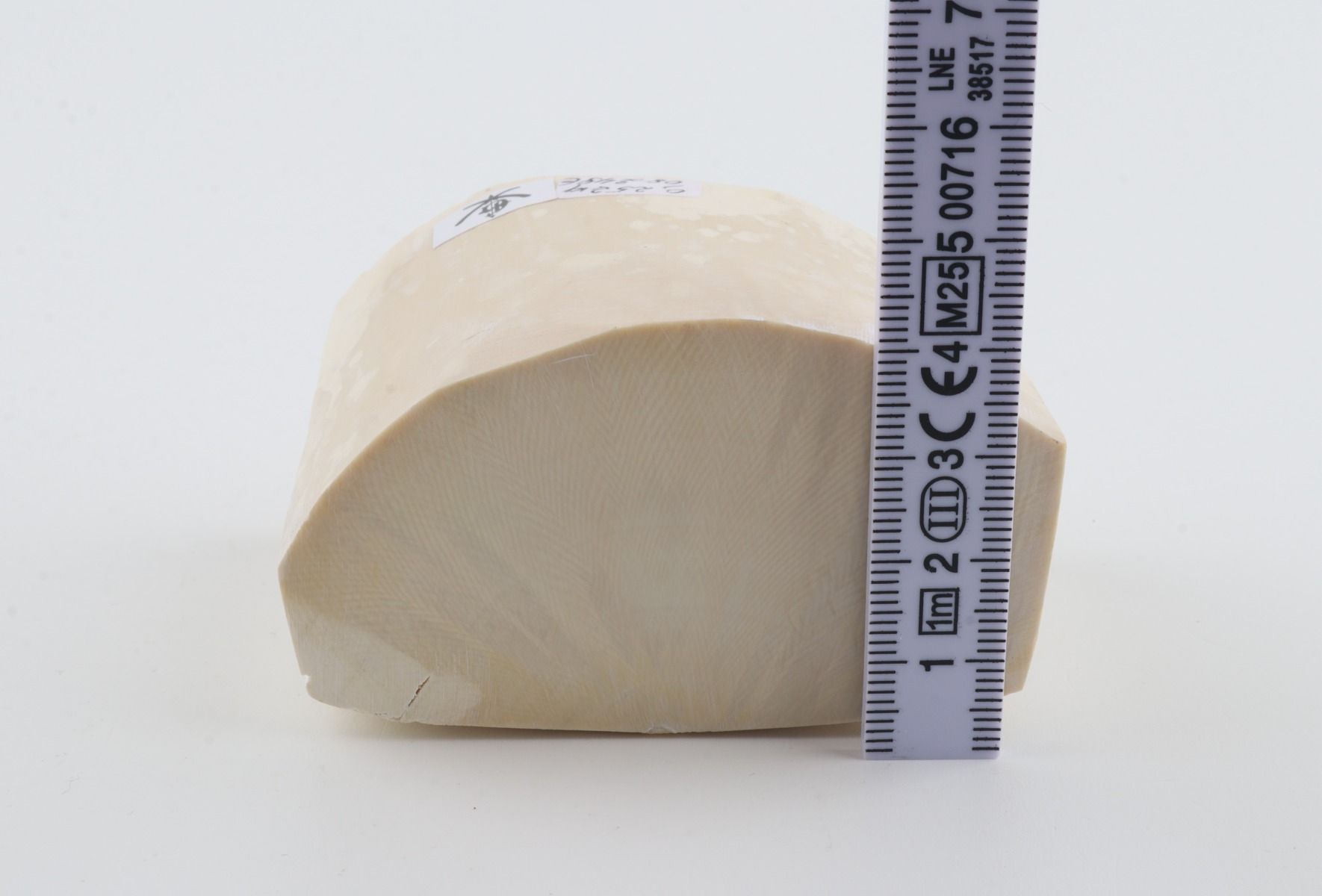 White mammoth ivory segment