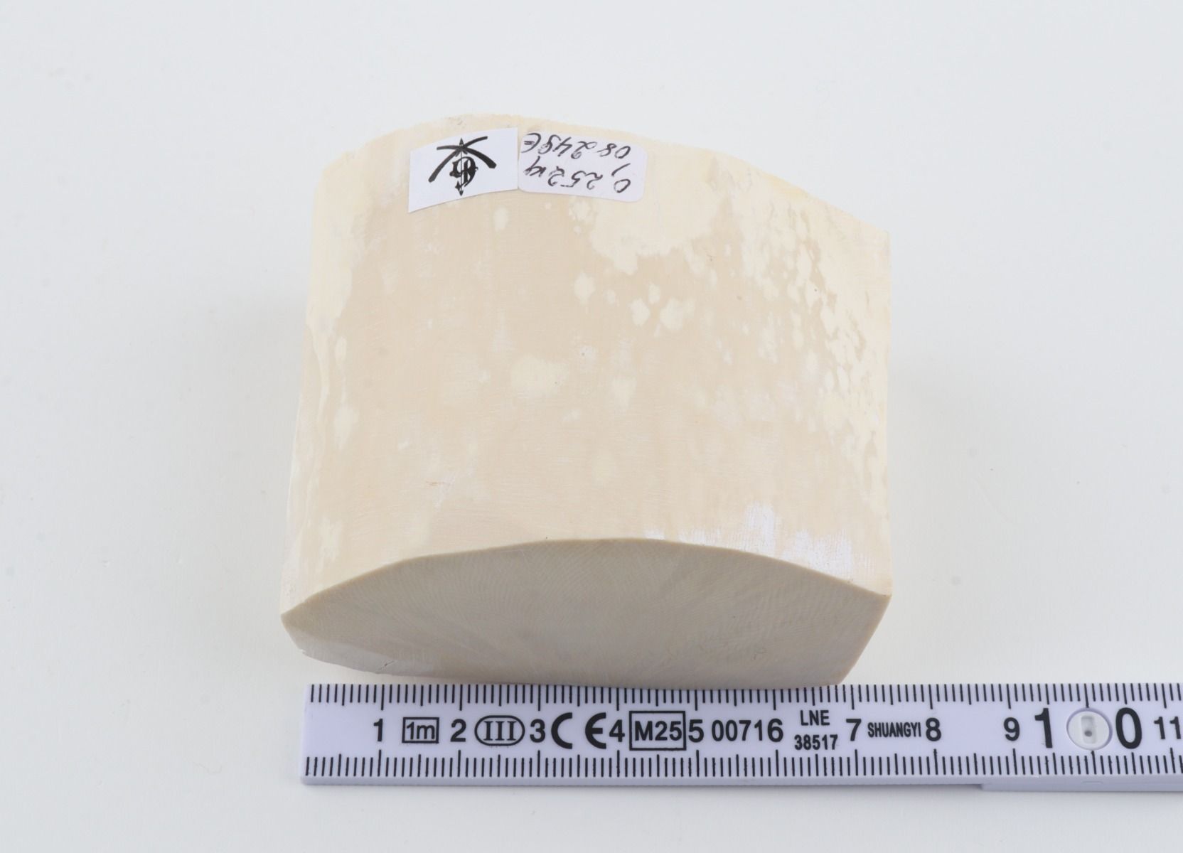 White mammoth ivory segment
