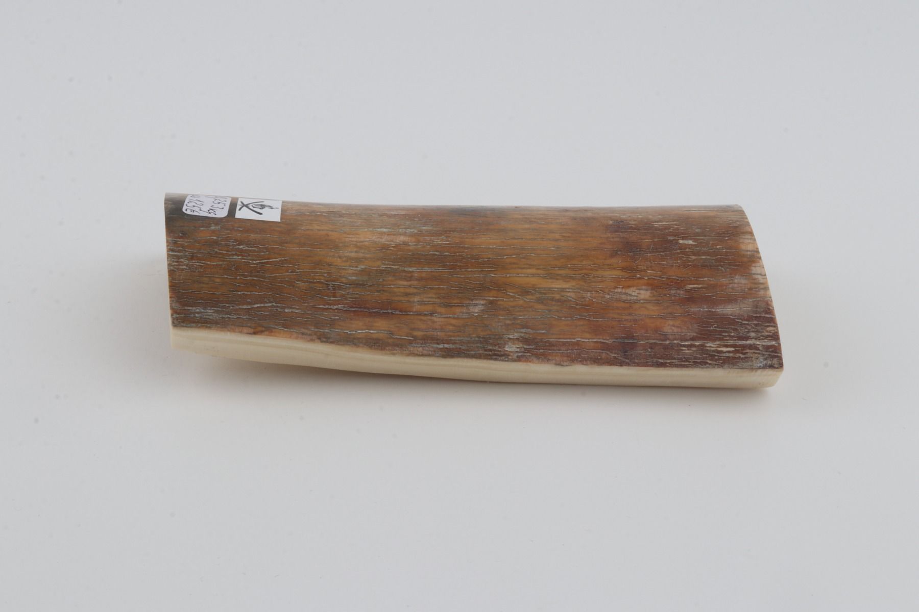 Natural mammoth bark