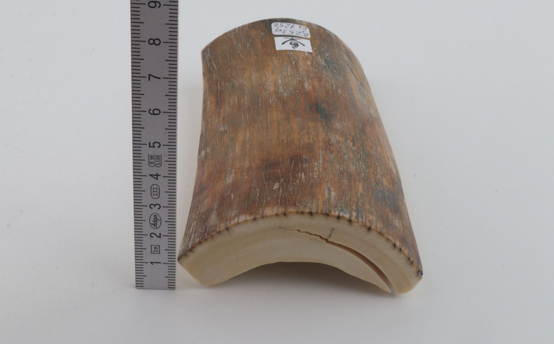 Natural mammoth bark
