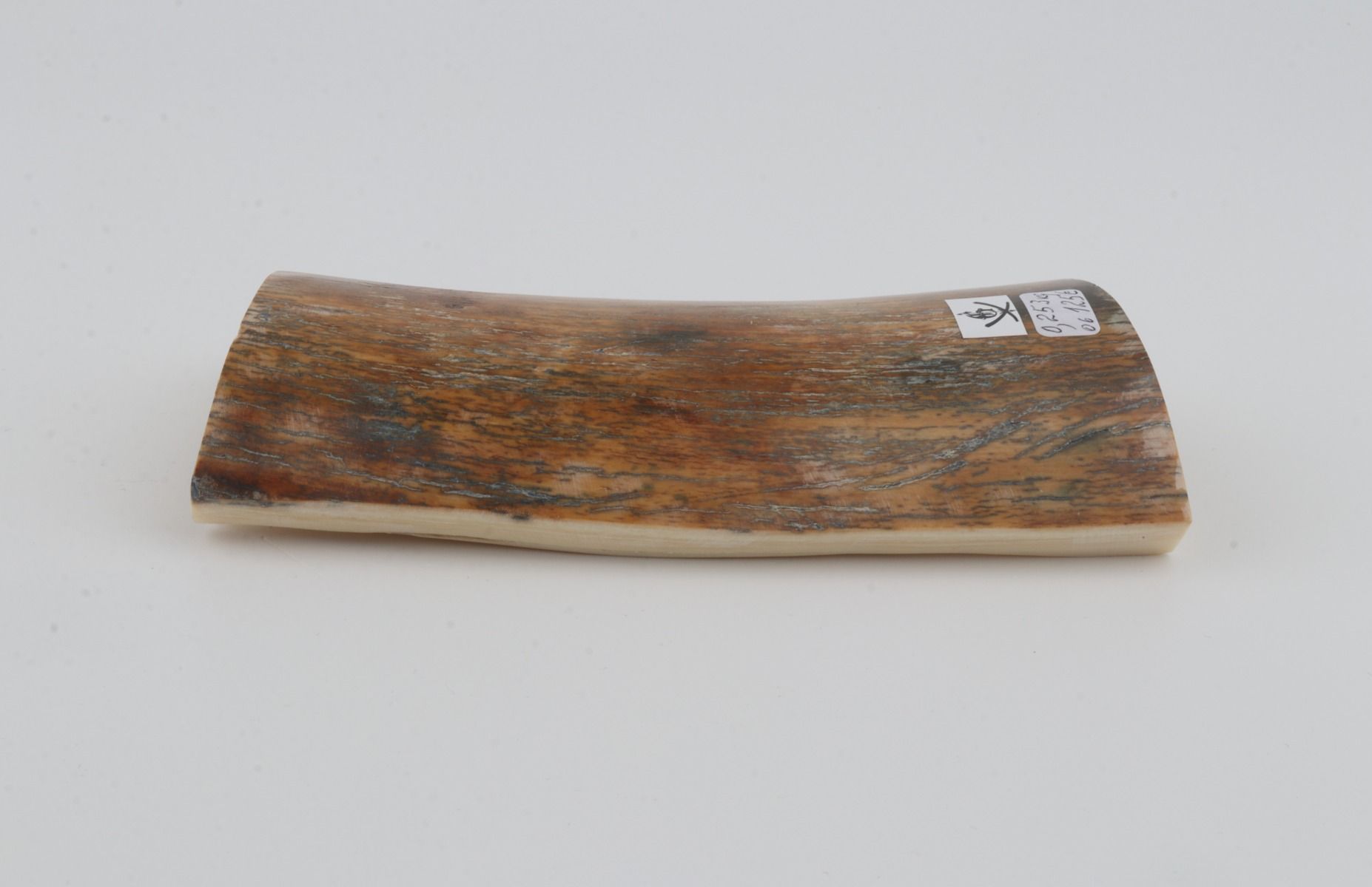 Natural mammoth bark