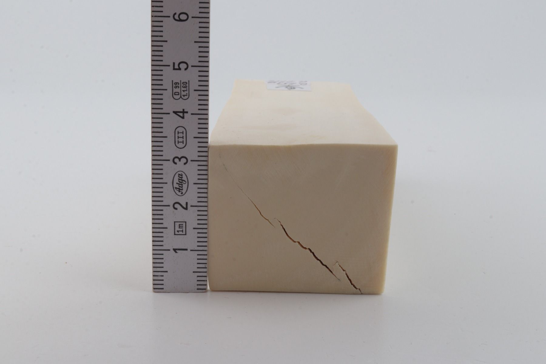 White mammoth ivory segment