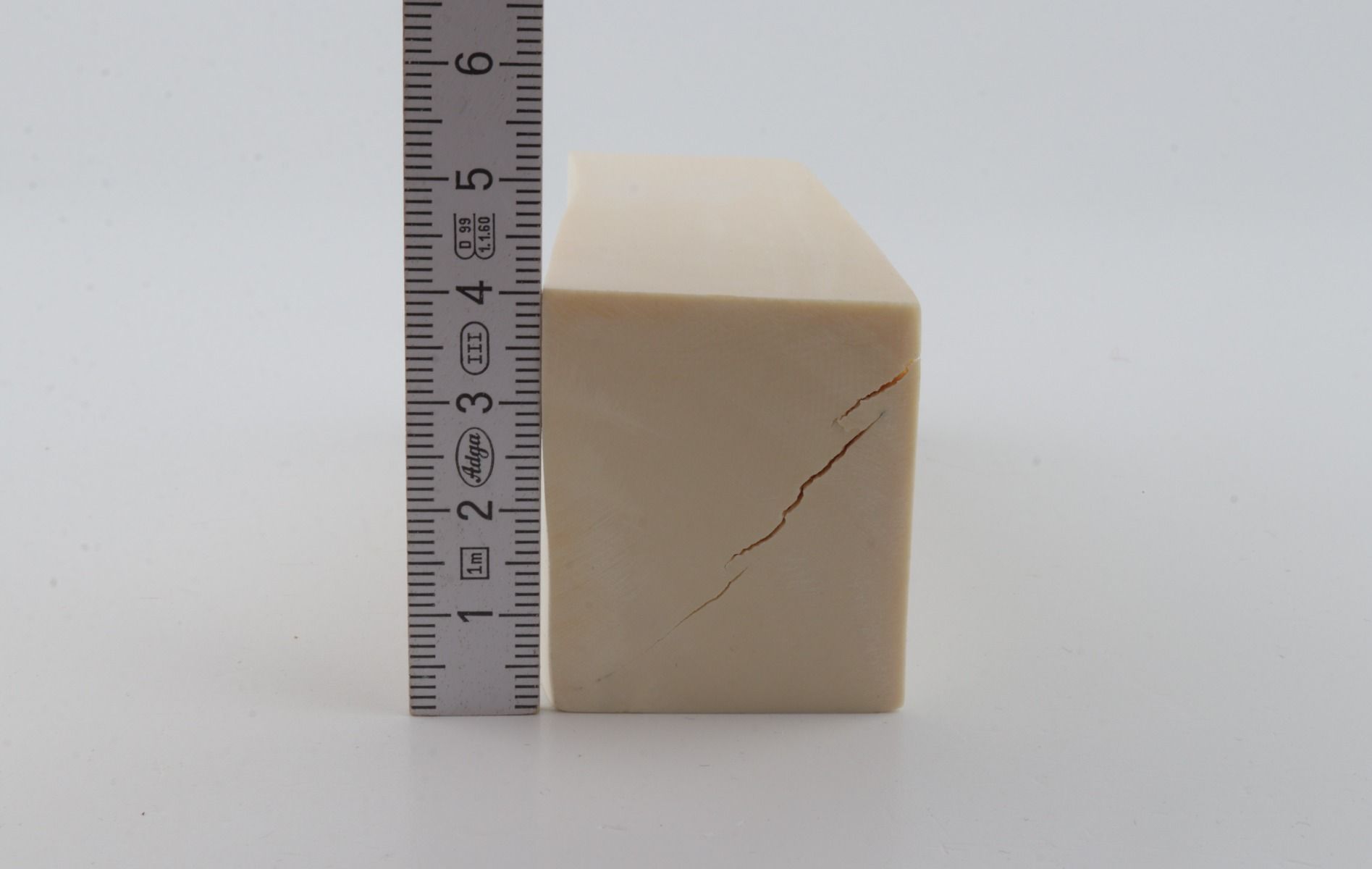 White mammoth ivory segment