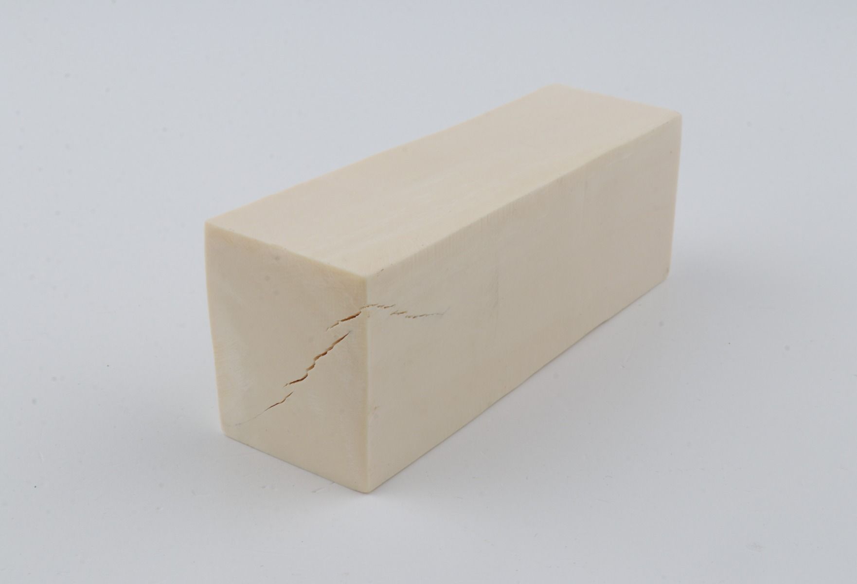 White mammoth ivory segment