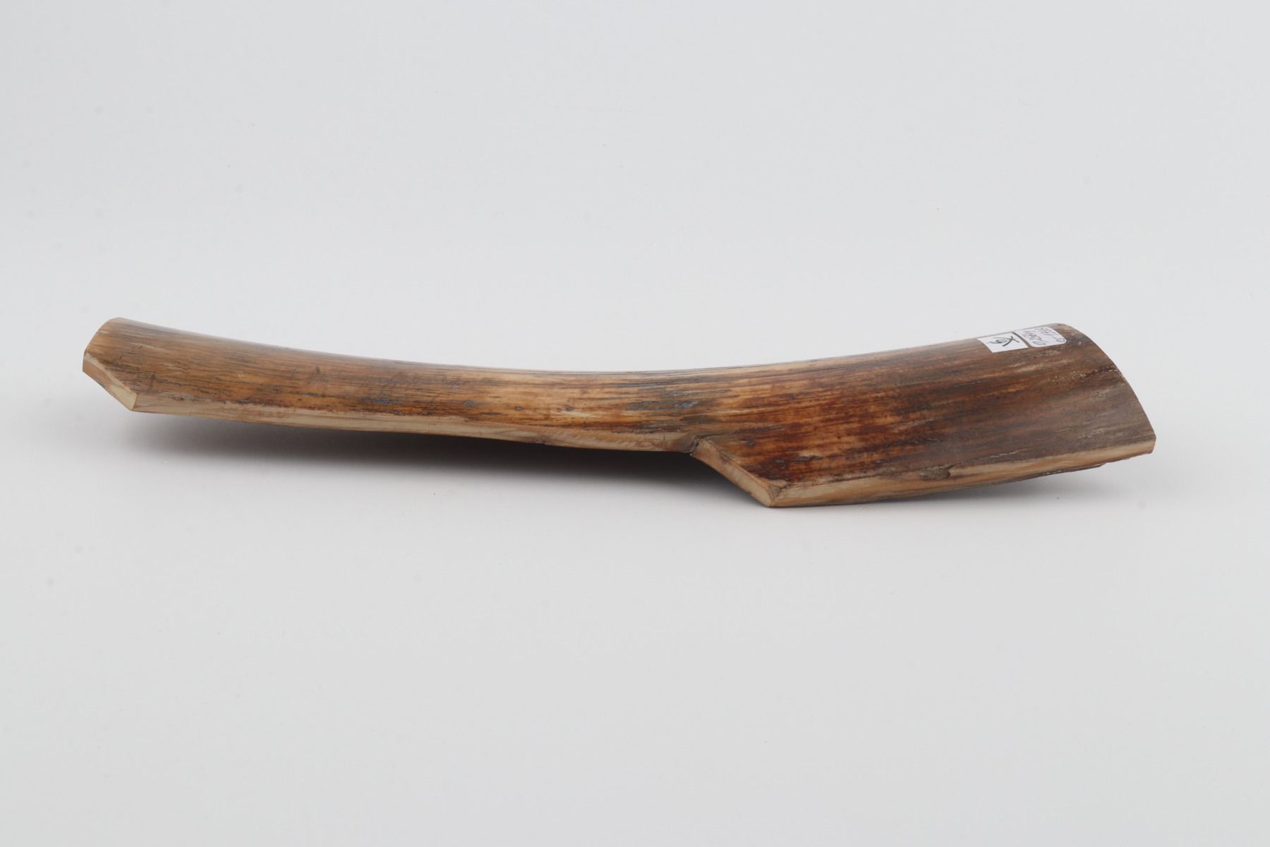 Brown mammoth bark