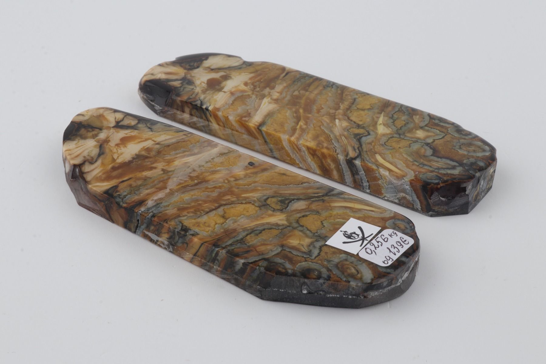 Stabilized mammoth molar scales
