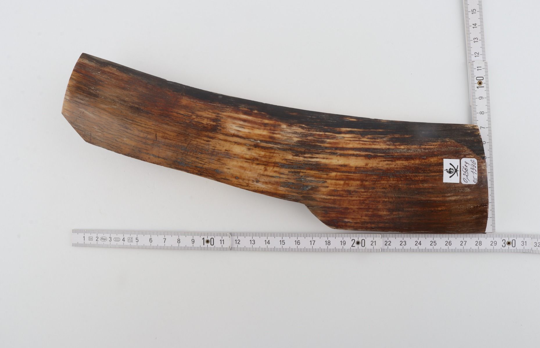 Brown mammoth bark