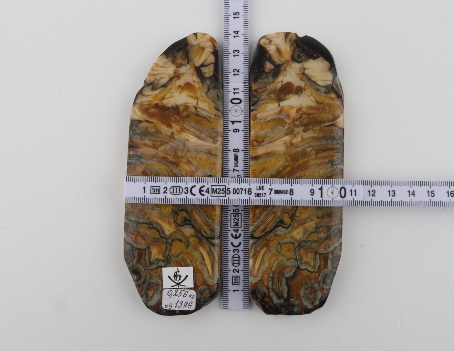 Stabilized mammoth molar scales