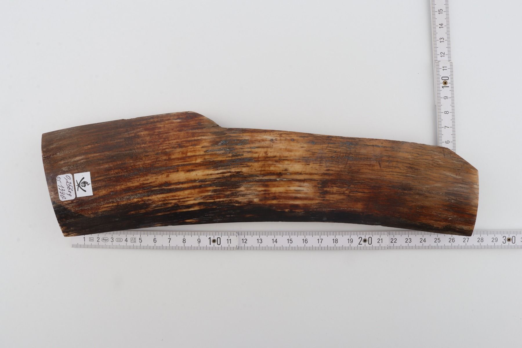 Brown mammoth bark