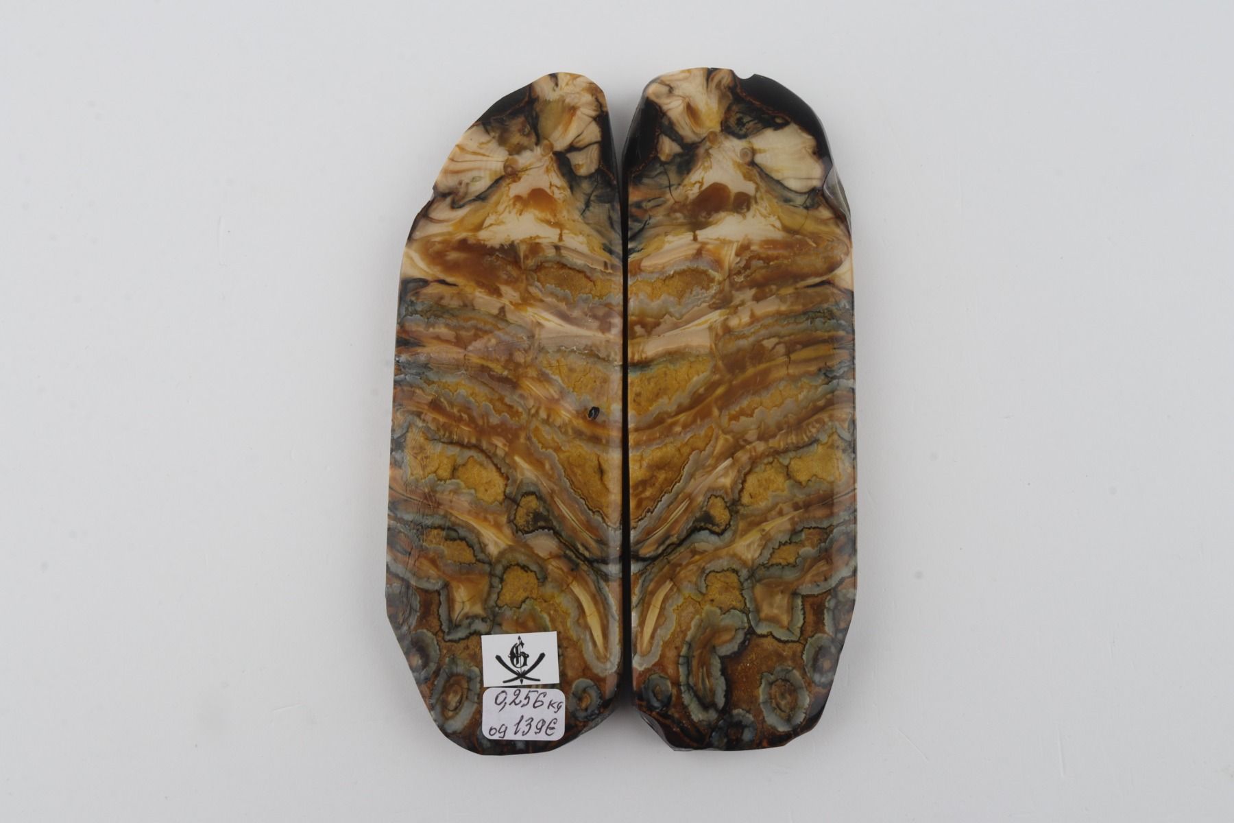 Stabilized mammoth molar scales