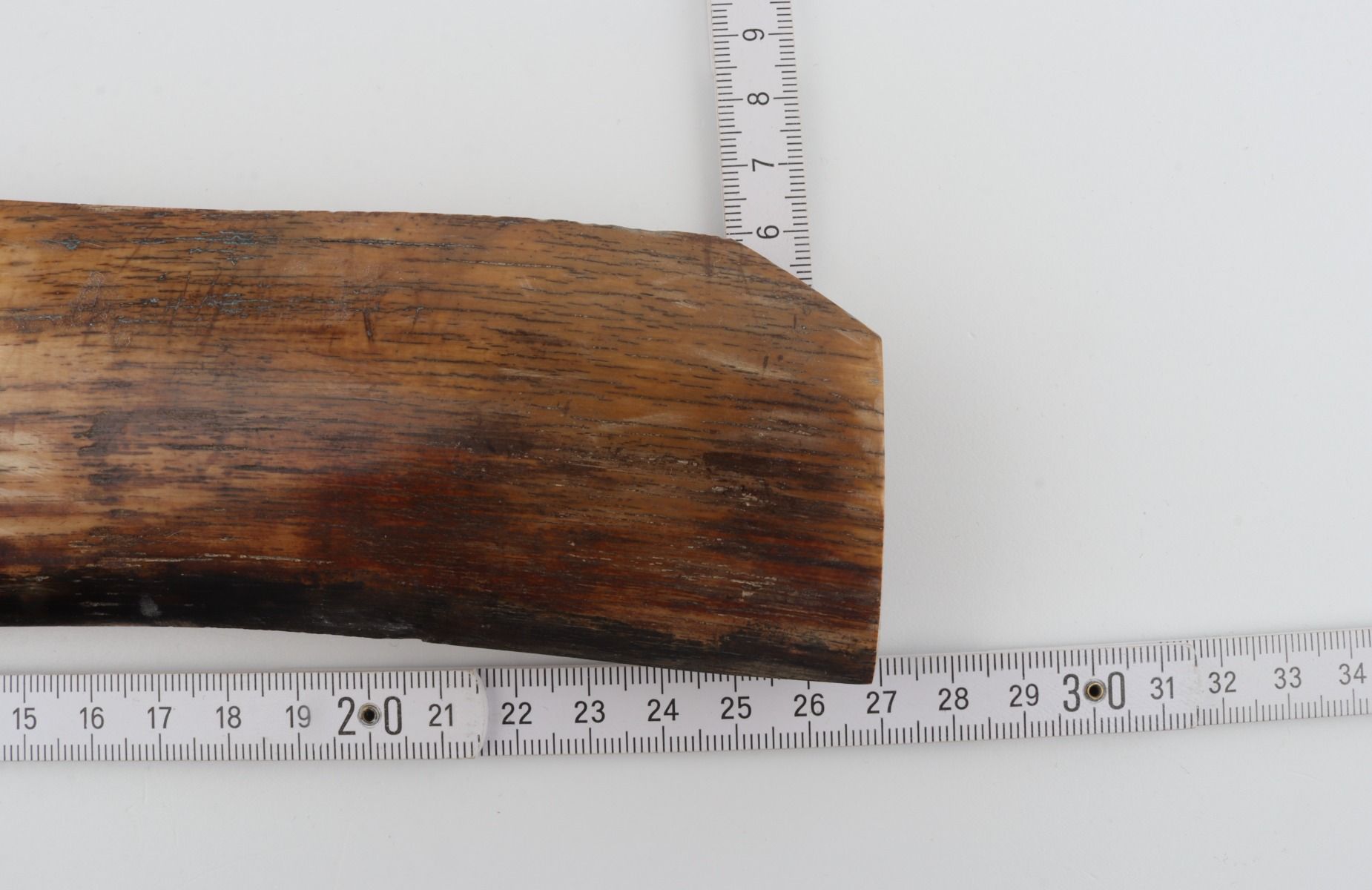 Brown mammoth bark