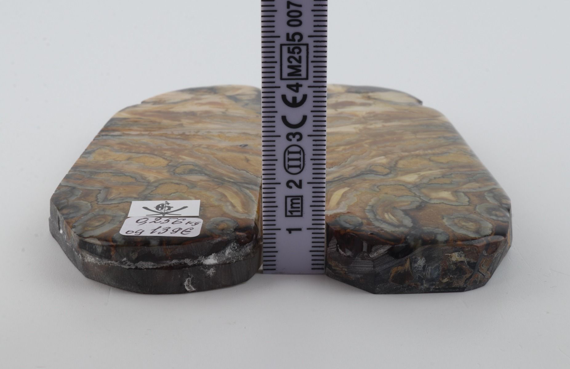 Stabilized mammoth molar scales