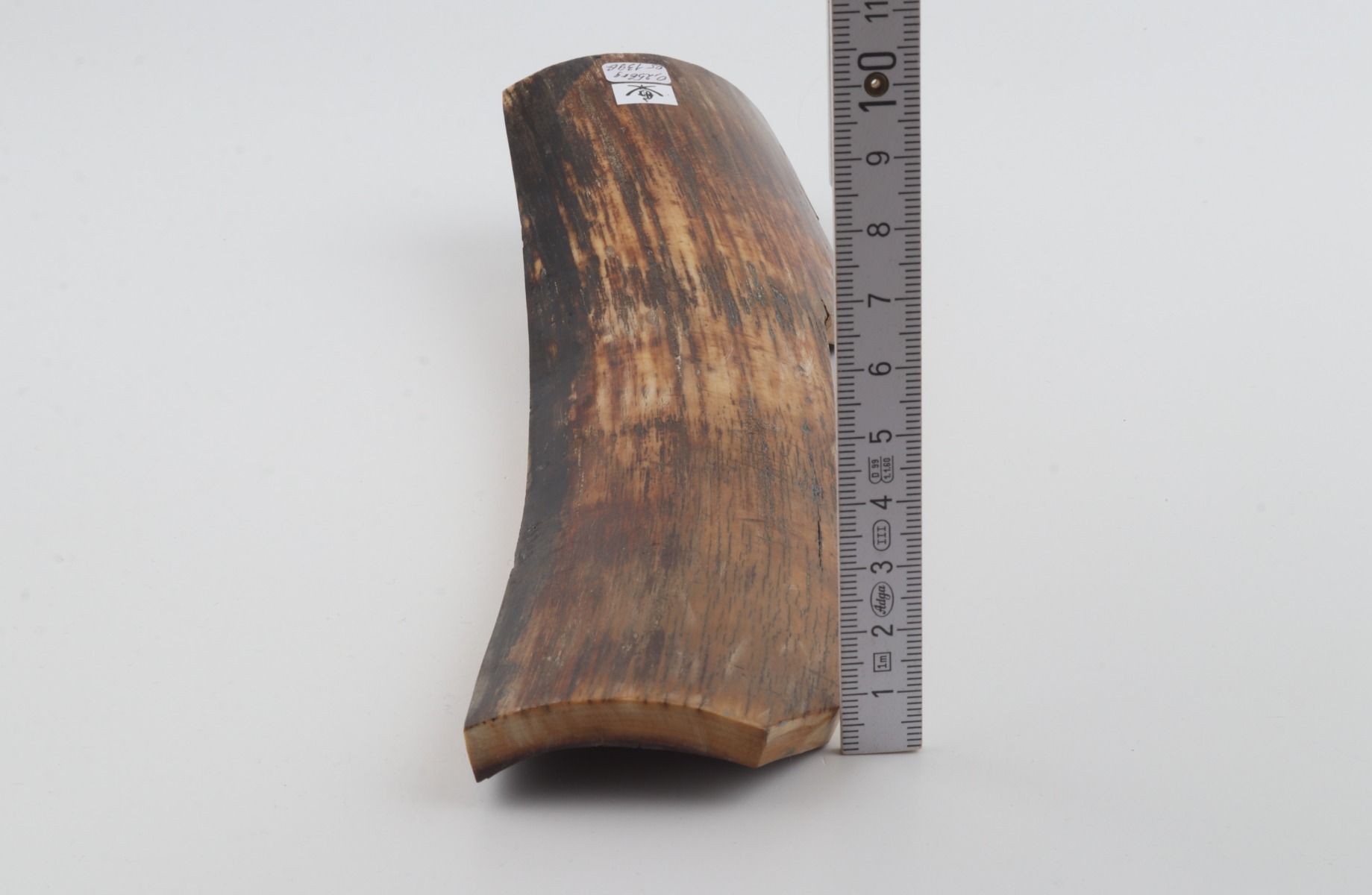 Brown mammoth bark